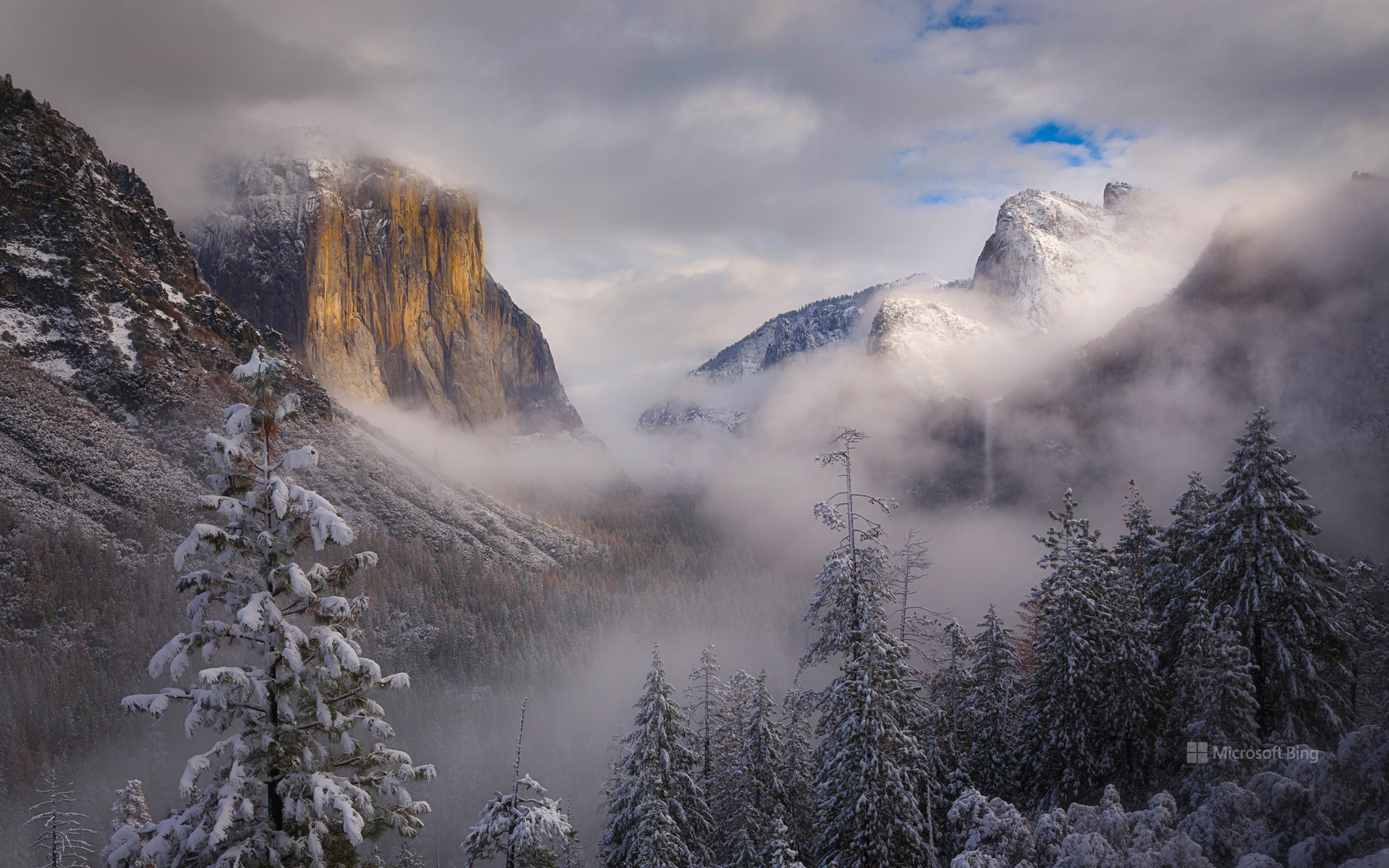 Clearing snowstorm, Yosemite National Park, California