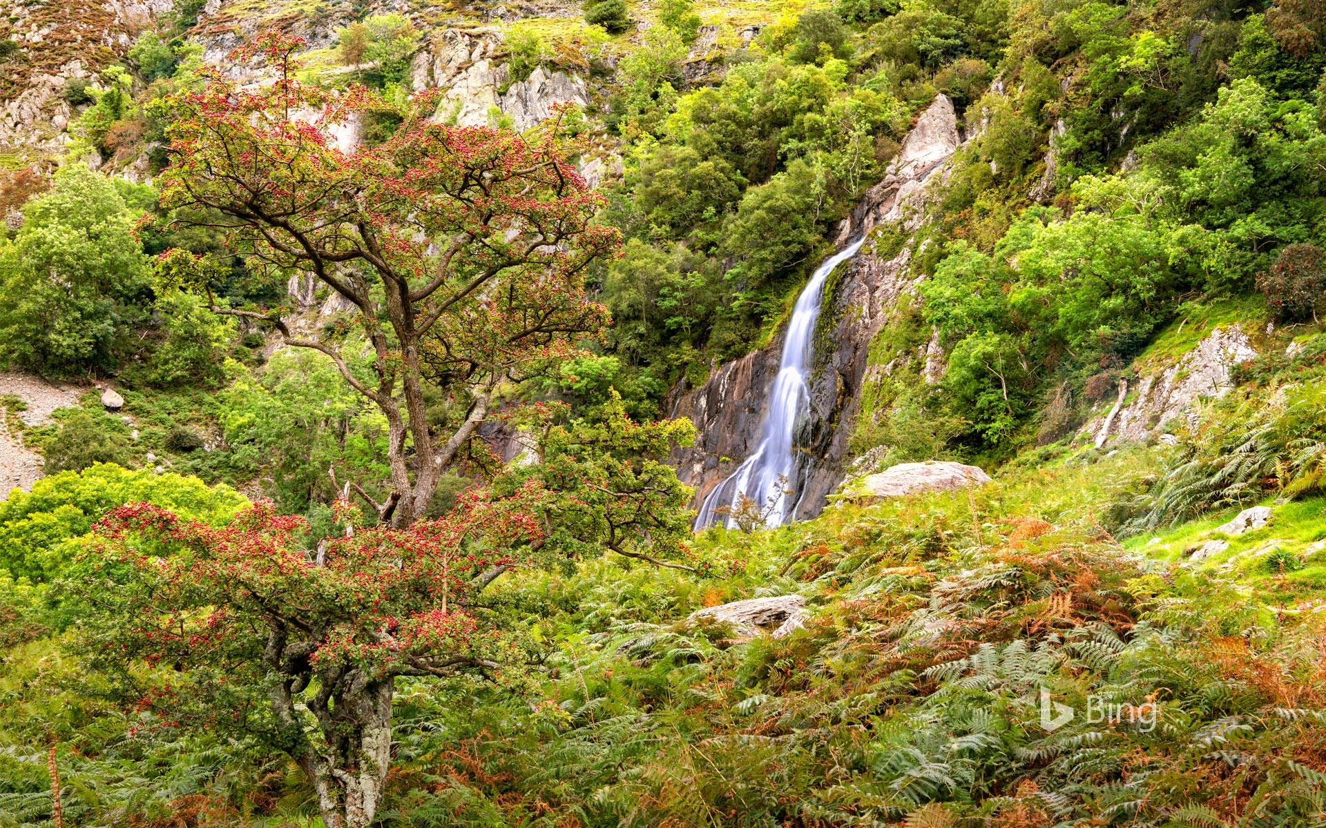 Aber Falls in Snowdonia National Park, Gwynedd