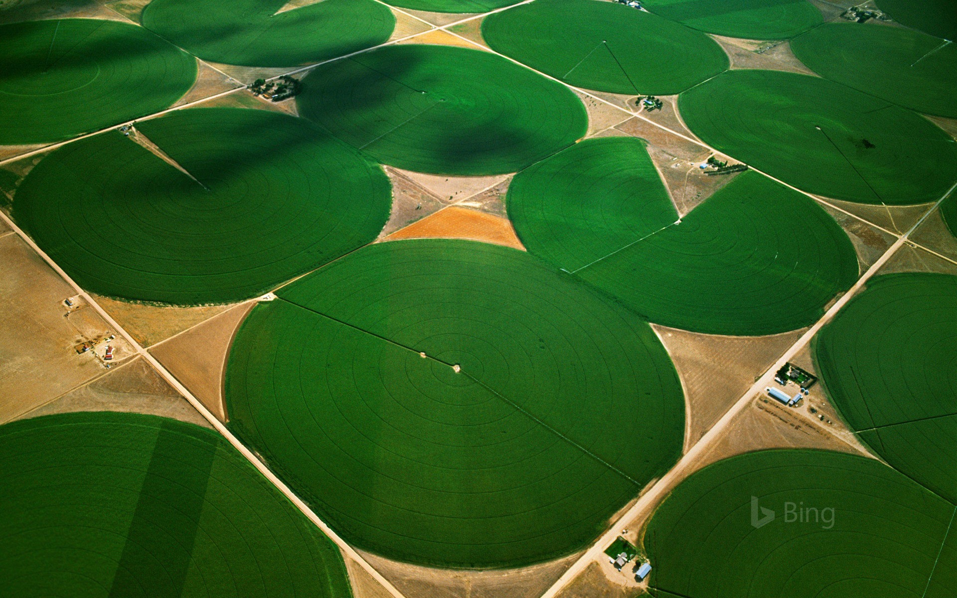 Circular agricultural fields in Morgan County, Colorado