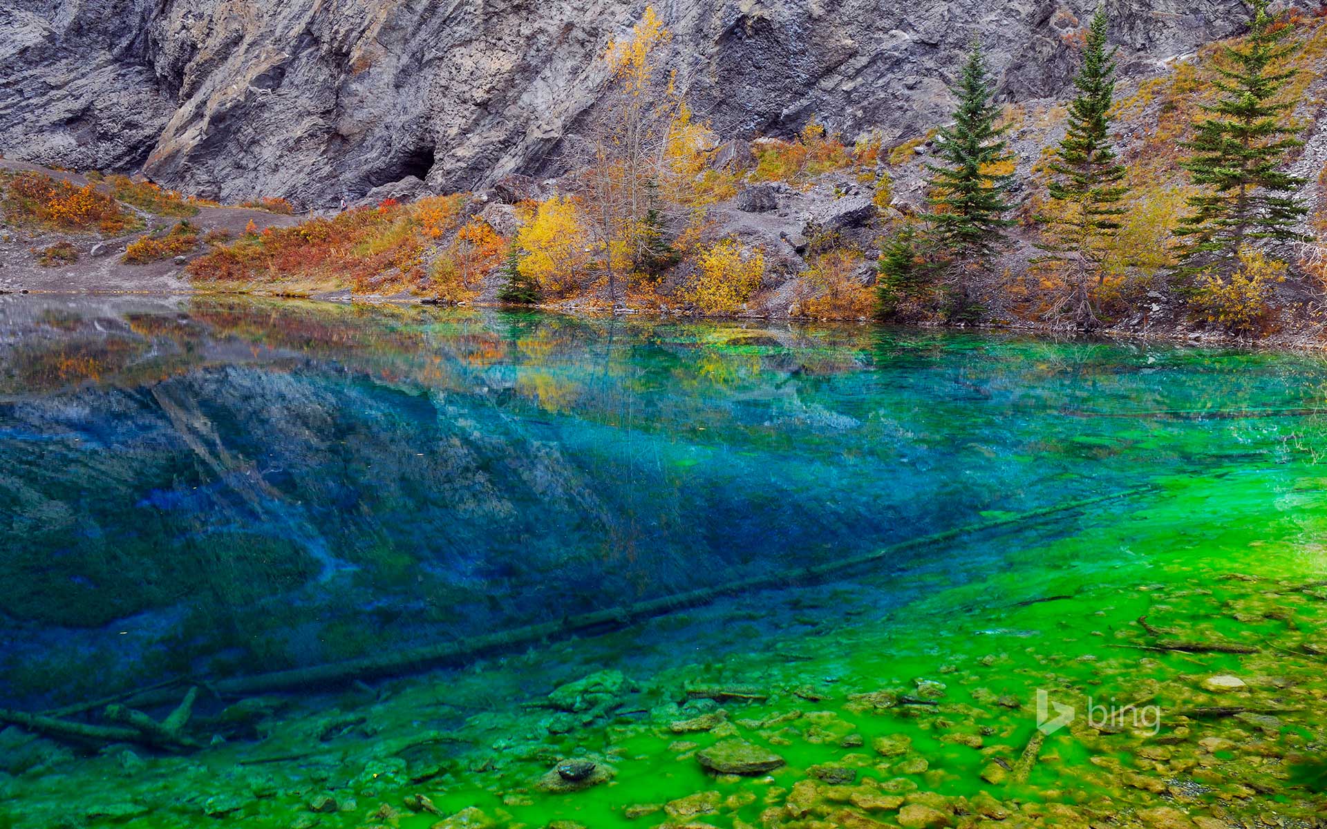 Blue and Green algae in the clear water of Grassi Lakes, near Canmore, Alberta, Canada