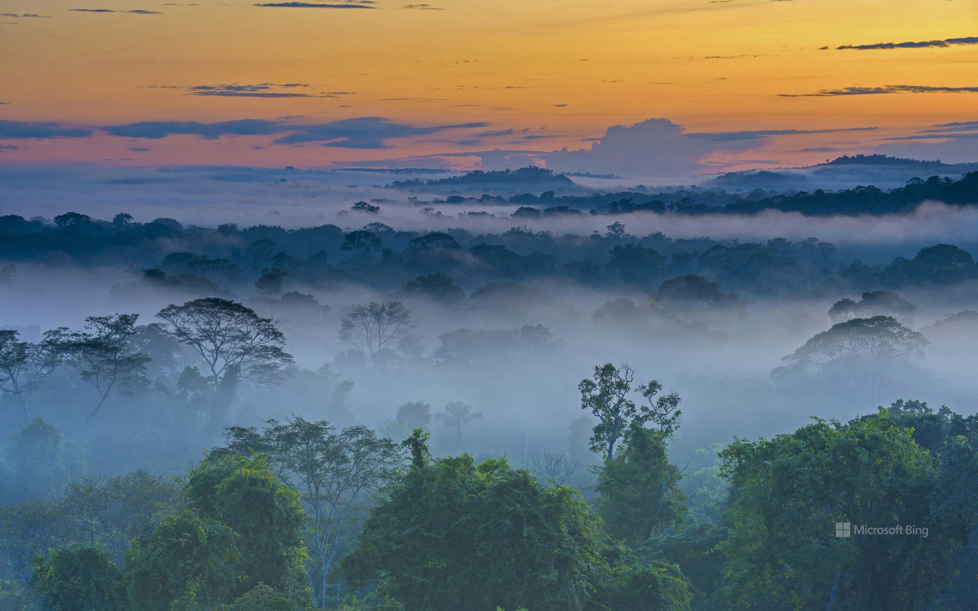 Amazon rainforest with morning fog near Alta Floresta, Mato Grosso, Brazil