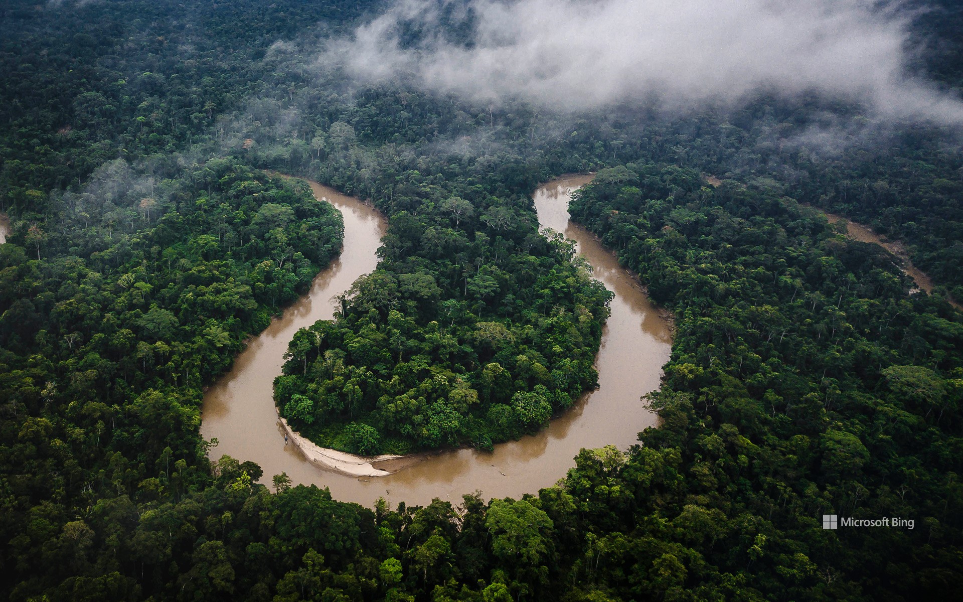 Amazon rainforest, Ecuador