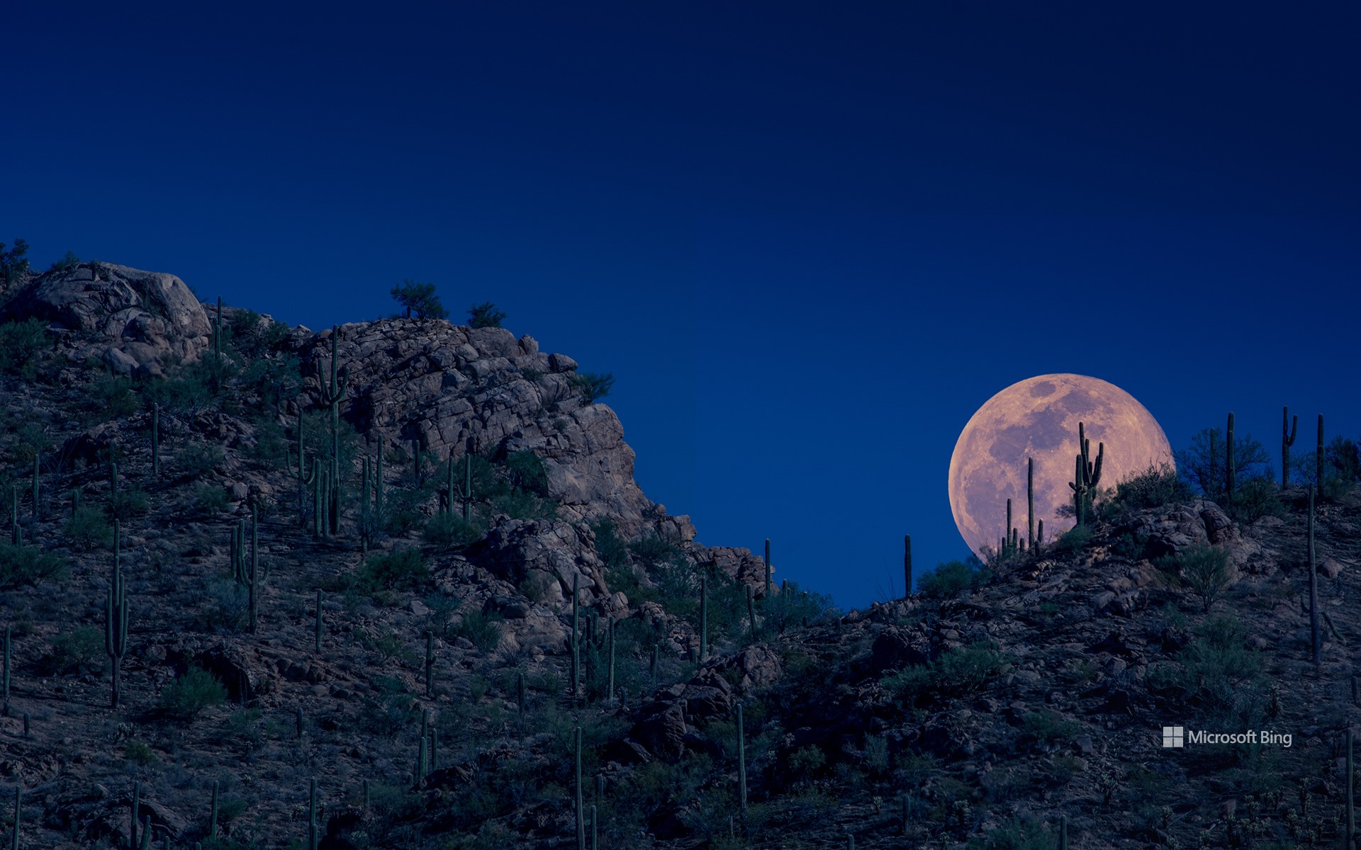 Moon rising, Tucson, Arizona