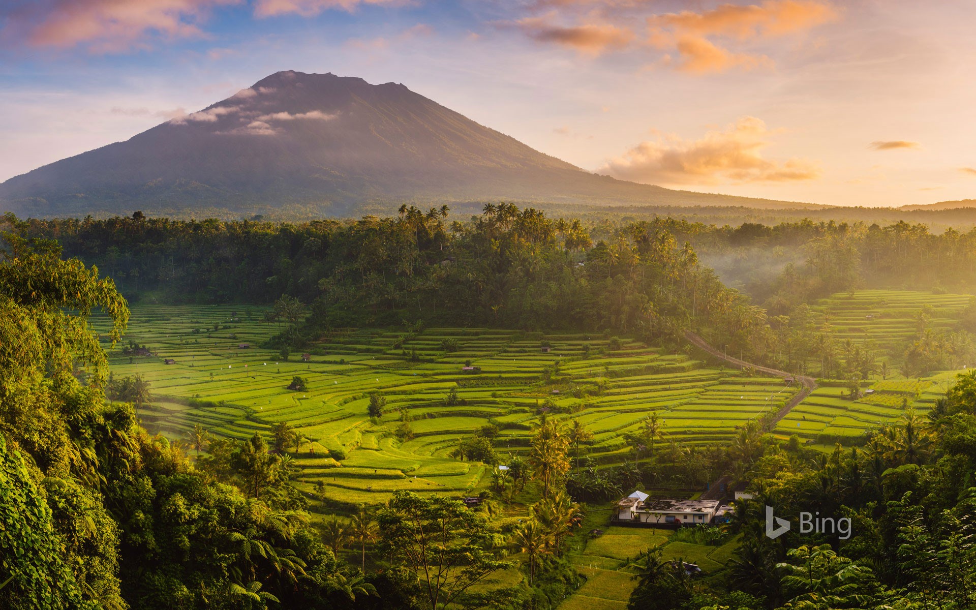 Rice fields in the Sidemen Valley with Mount Agung in the background, Bali, Indonesia