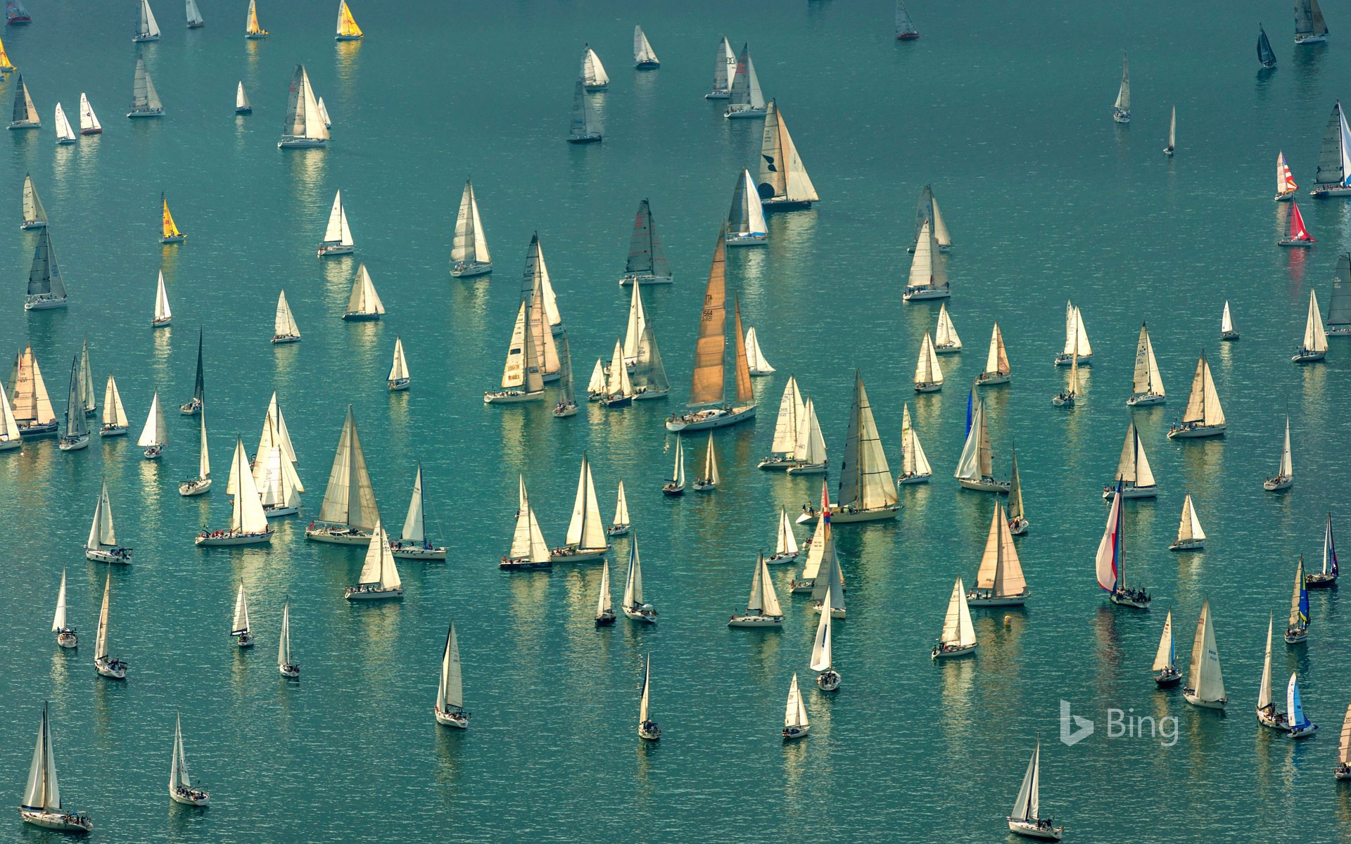 Boats massing for the Barcolana regatta in the Gulf of Trieste, Italy