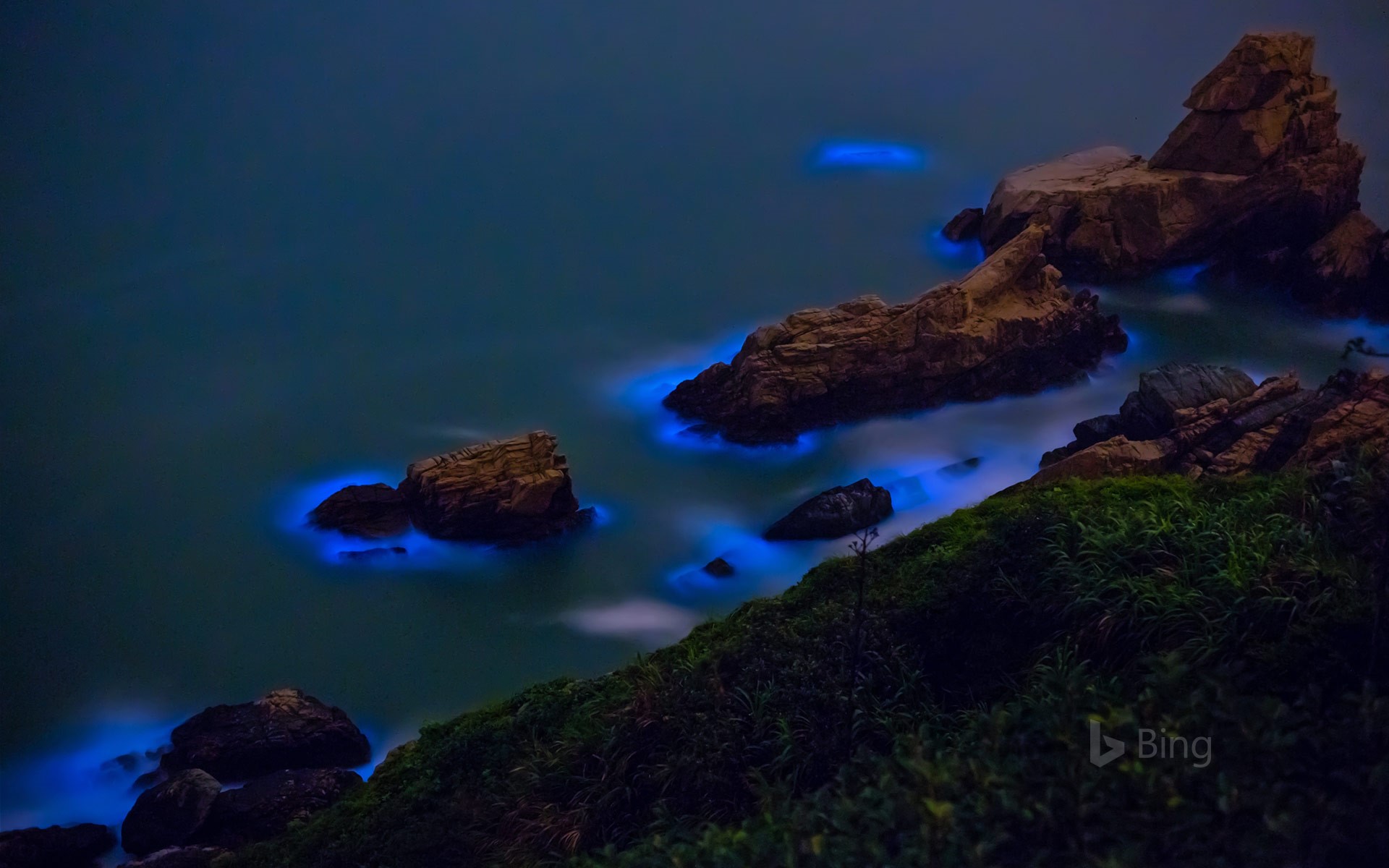Bioluminescent algae along the shores of the Matsu Islands off the coast of Taiwan