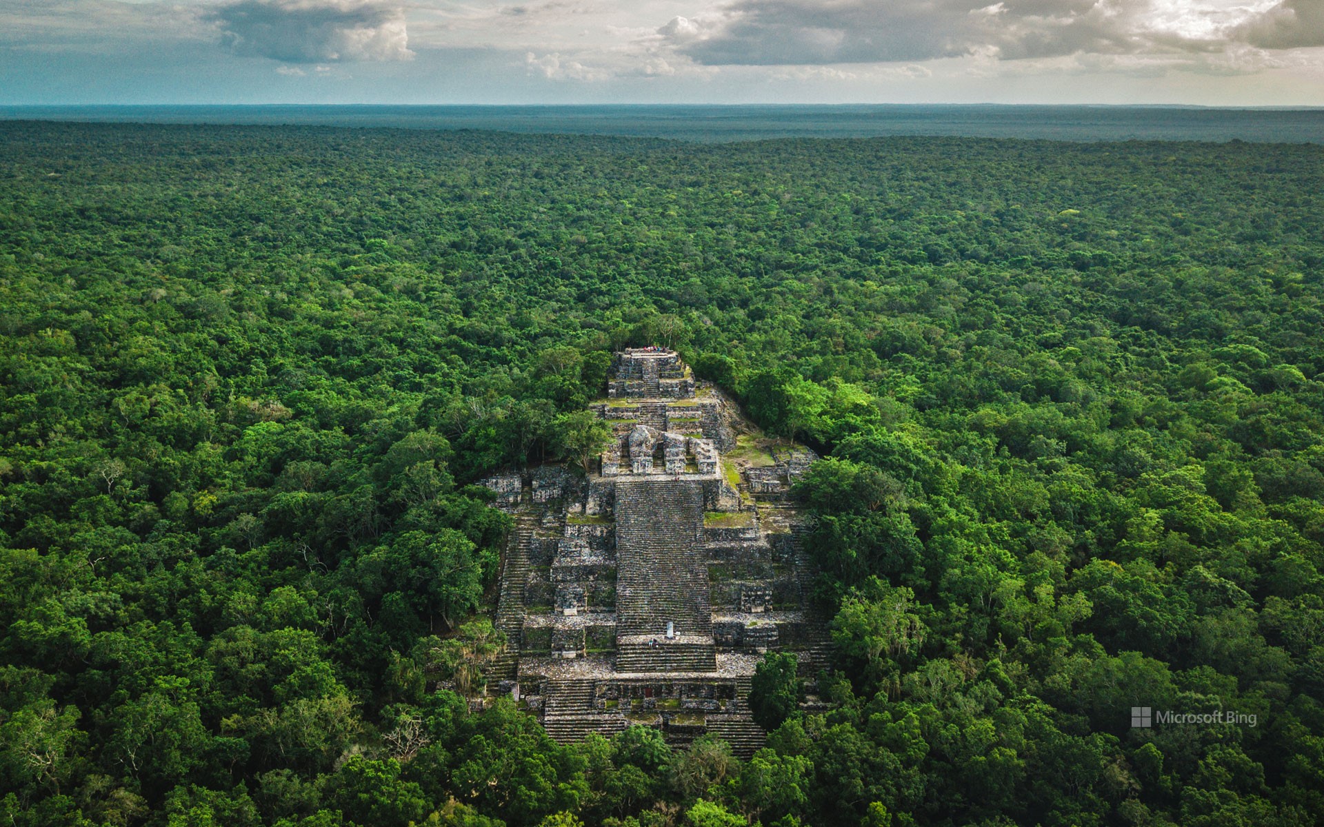 Ruins of the ancient Maya city of Calakmul surrounded by the jungle, Campeche, Mexico