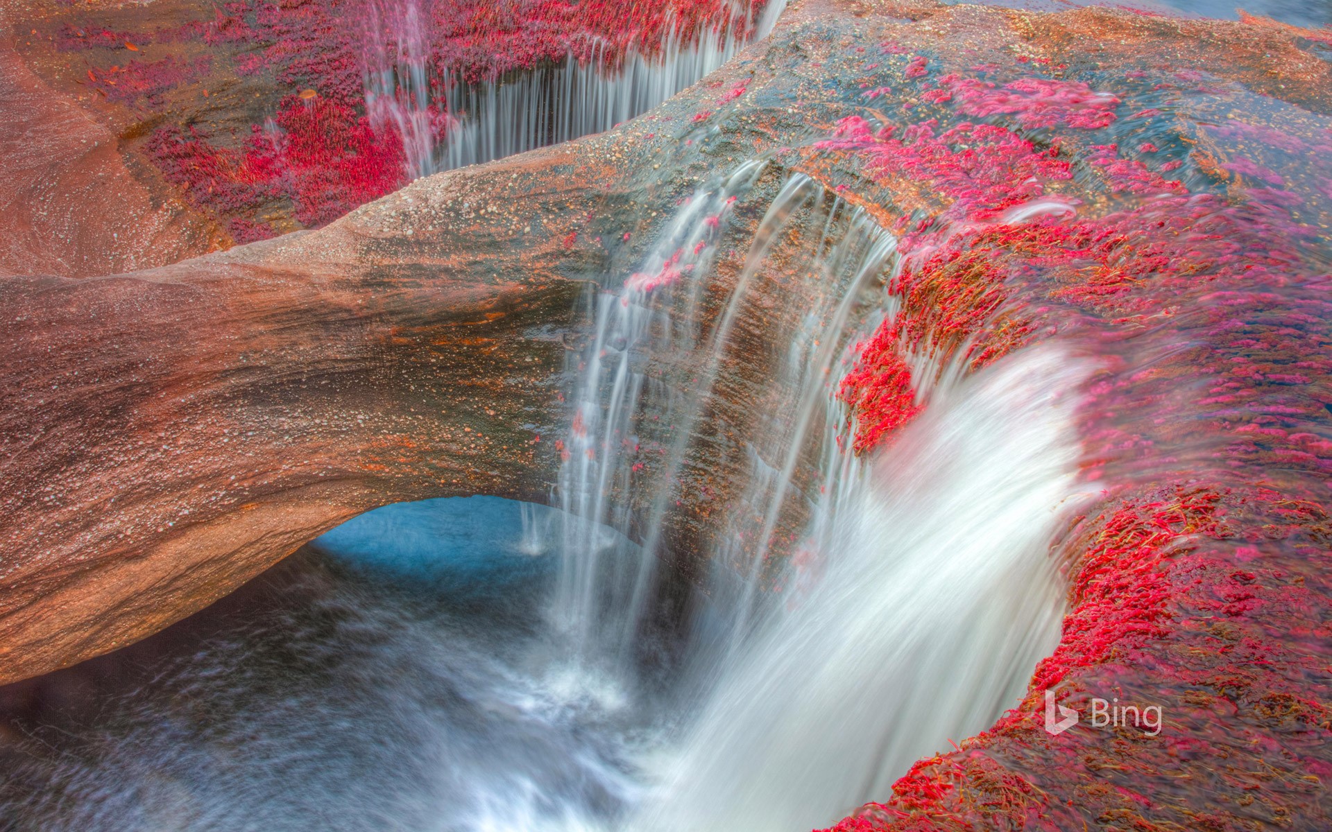 The Caño Cristales River in the Serranía de la Macarena mountains of Colombia