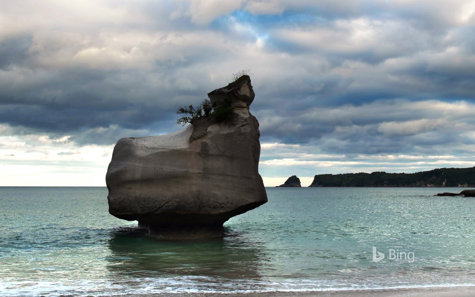 Eroding rock at Cathedral Cove on North Island, New Zealand