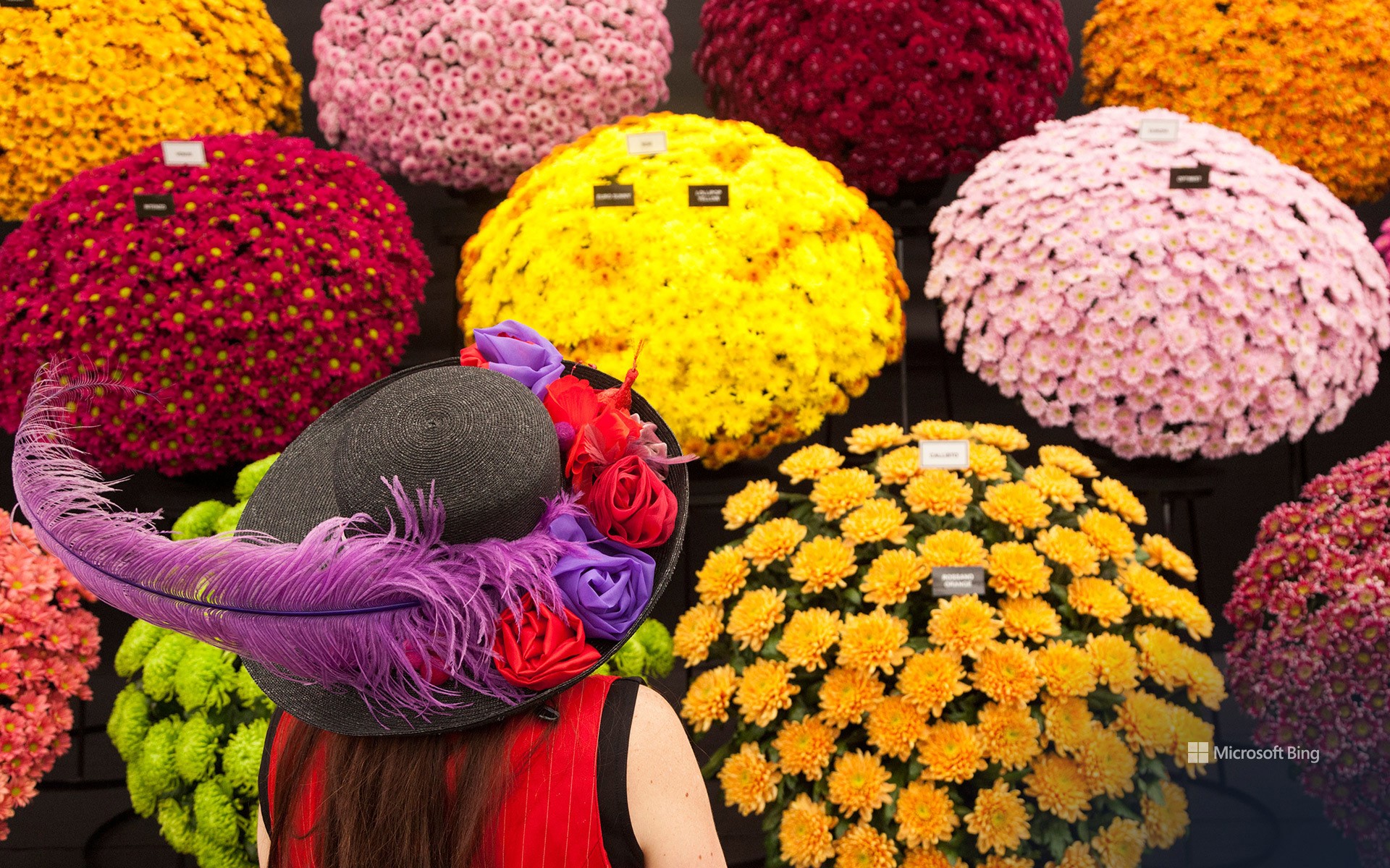 A woman with a floral hat at the RHS Chelsea Flower Show 2014