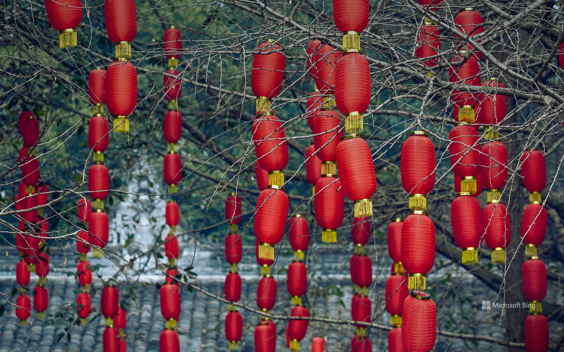 Red lanterns, Chengdu, Sichuan, China