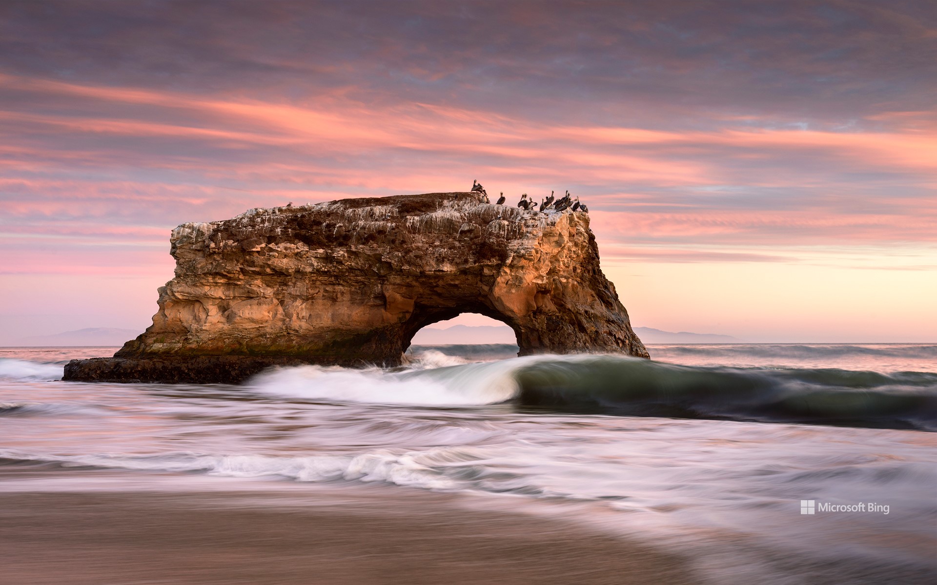 Natural Bridges State Beach in Santa Cruz, California