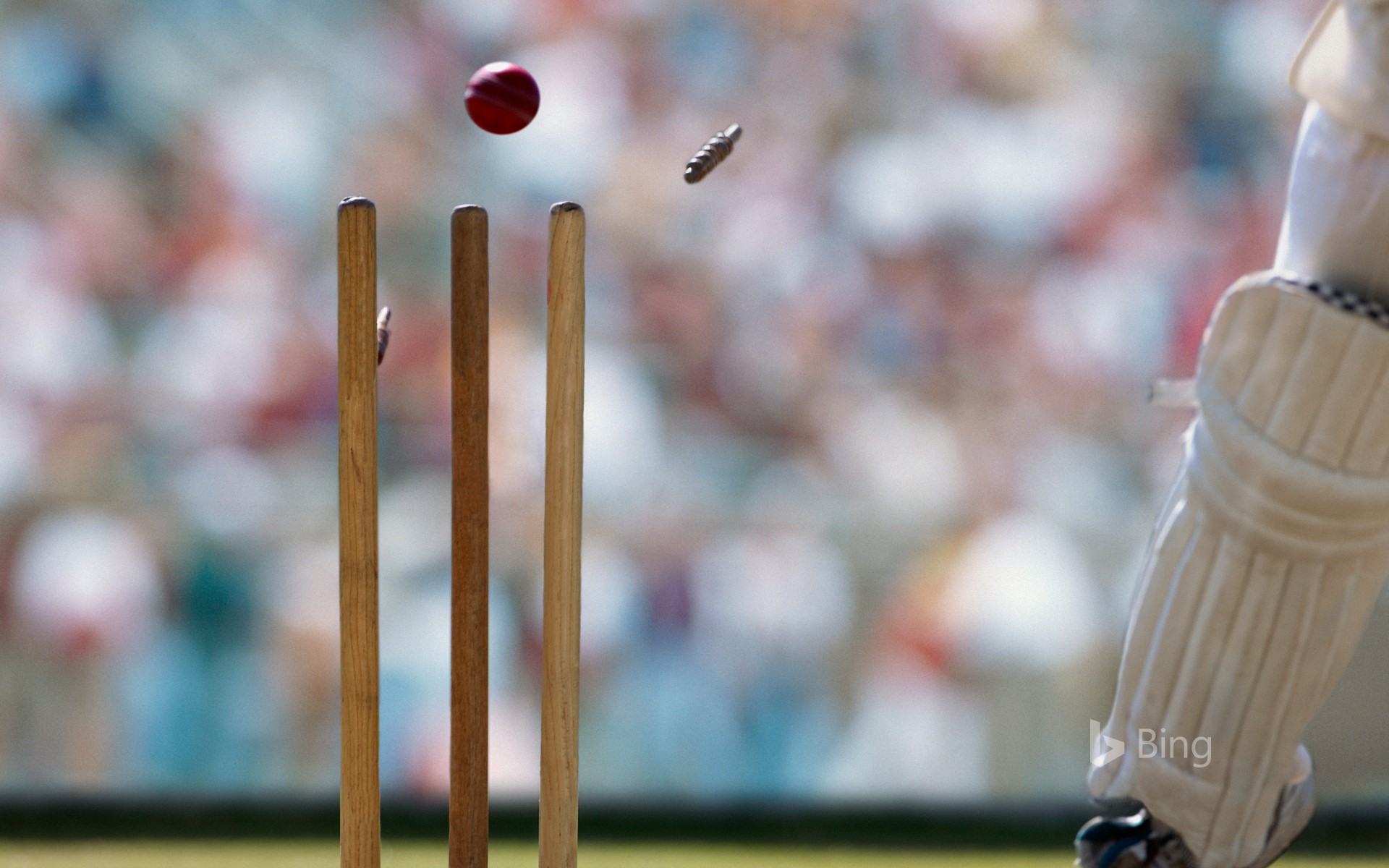 A cricket ball striking the wicket