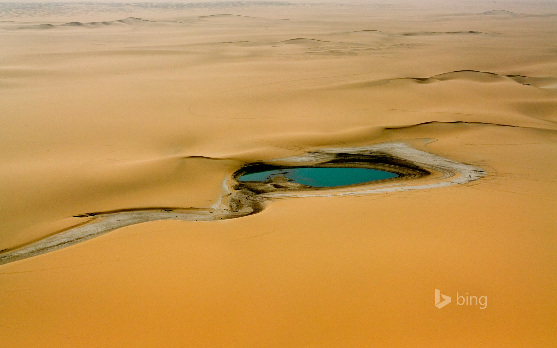 Accumulation of rainwater in the Sahara Desert, east of the Aïr Mountains, Niger
