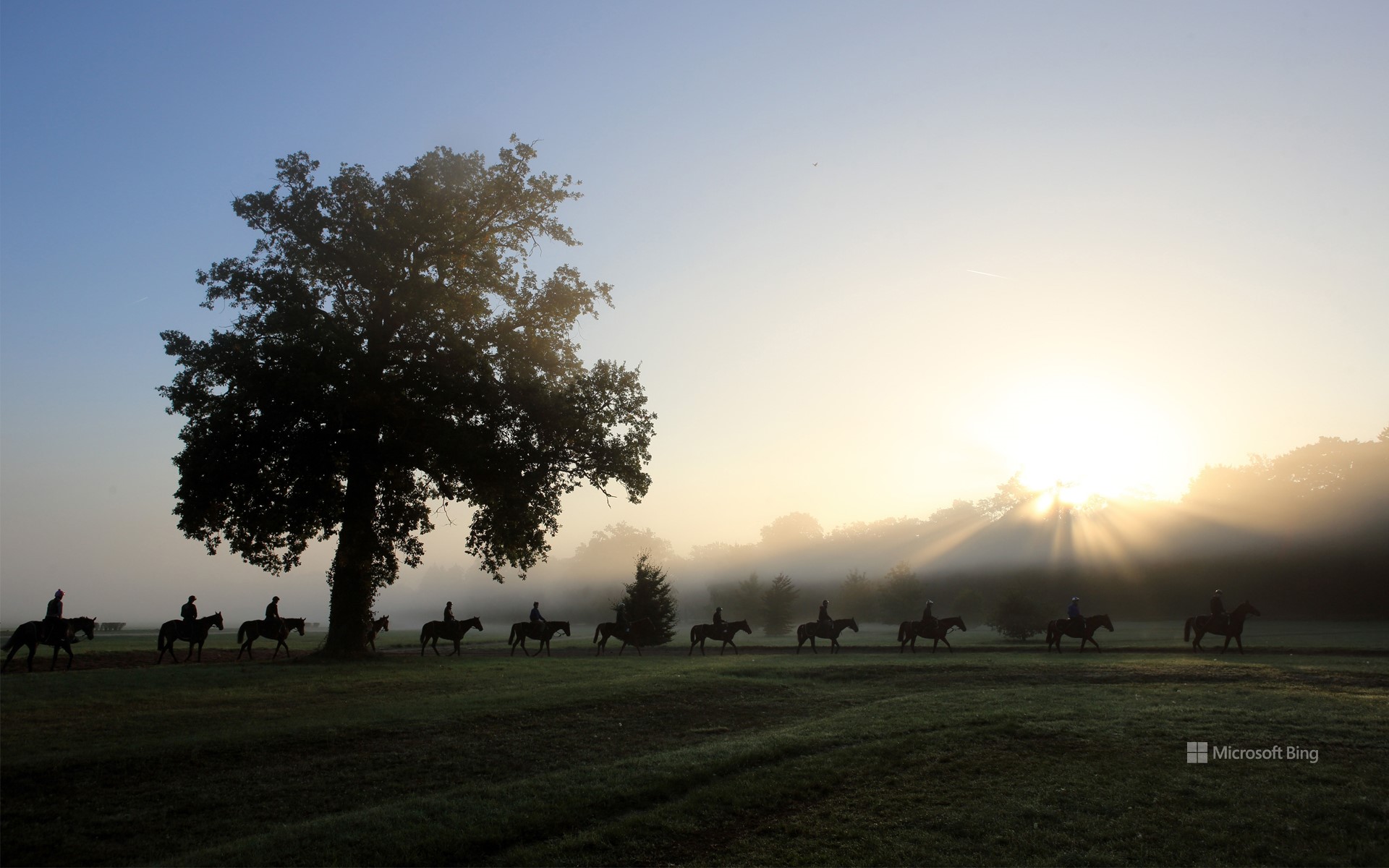 Riders and their horses in the early morning, Chantilly, France