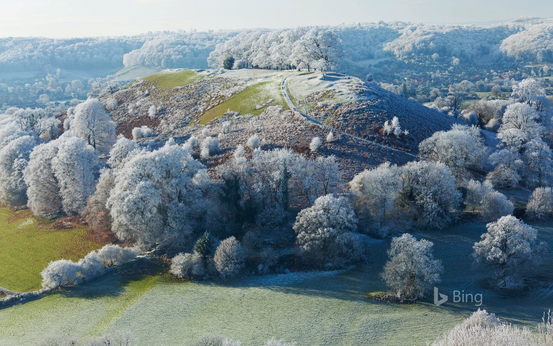 Hoar frost on Downham Hill near Uley, Gloucestershire
