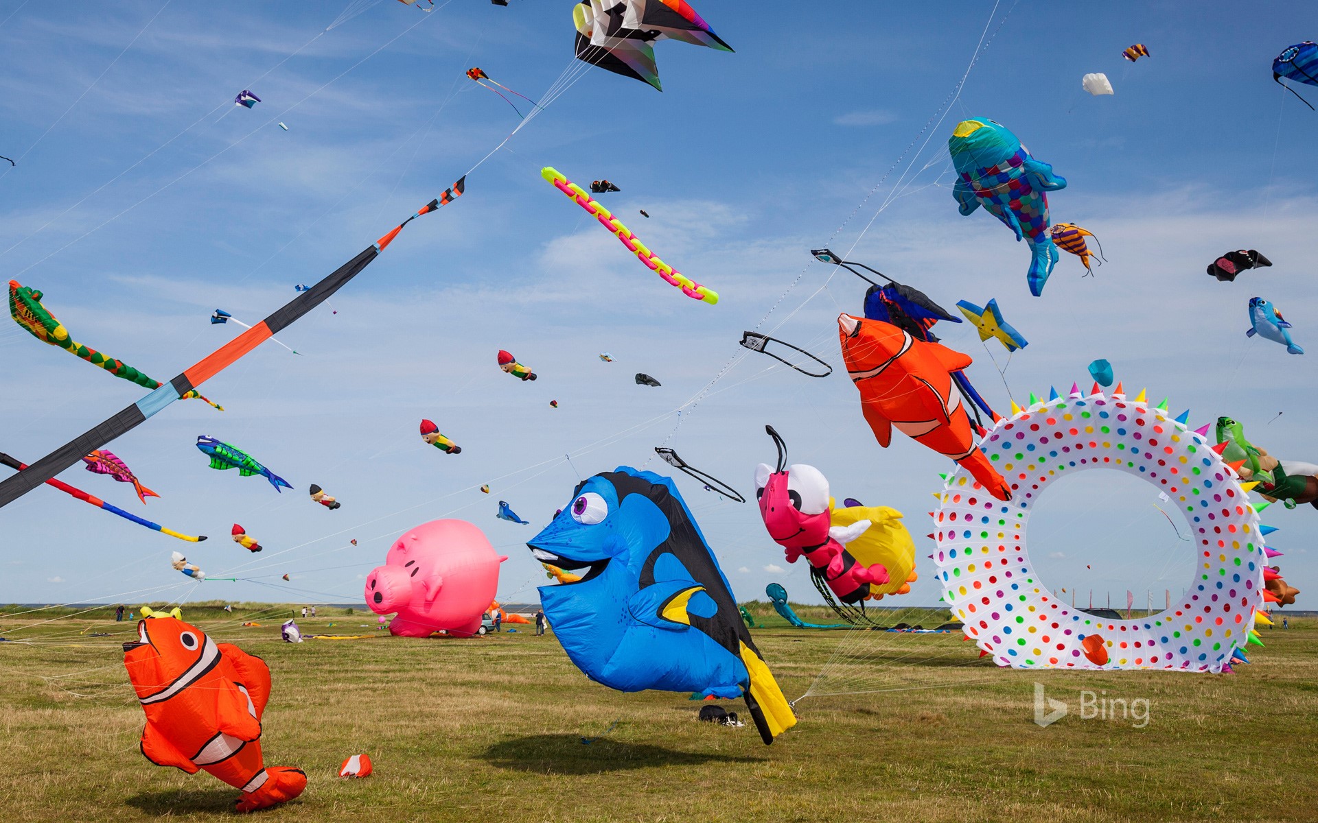 Colorful kites in Schillig, Wangerland, Lower Saxony