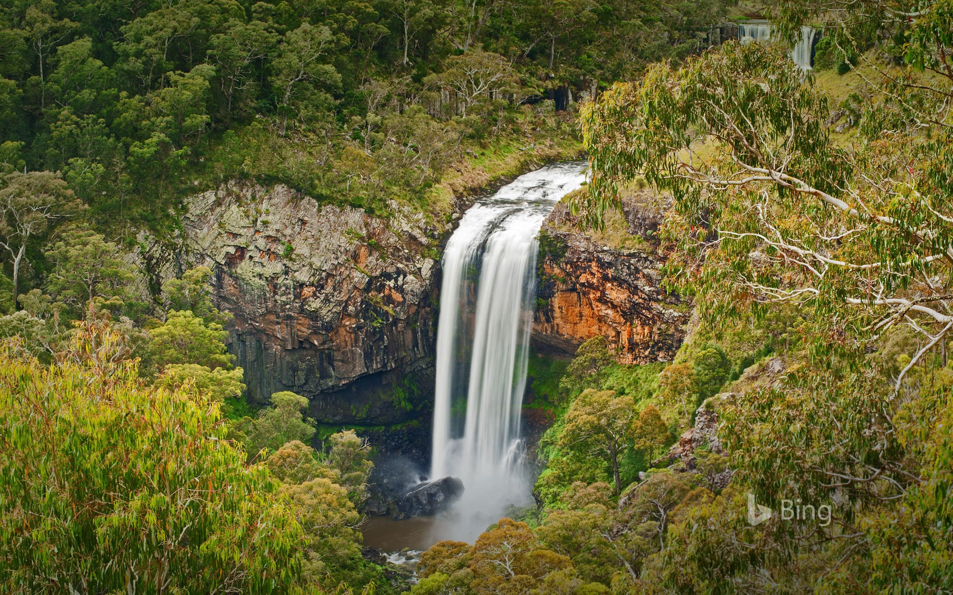 Ebor Falls in the Guy Fawkes River National Park of Australia