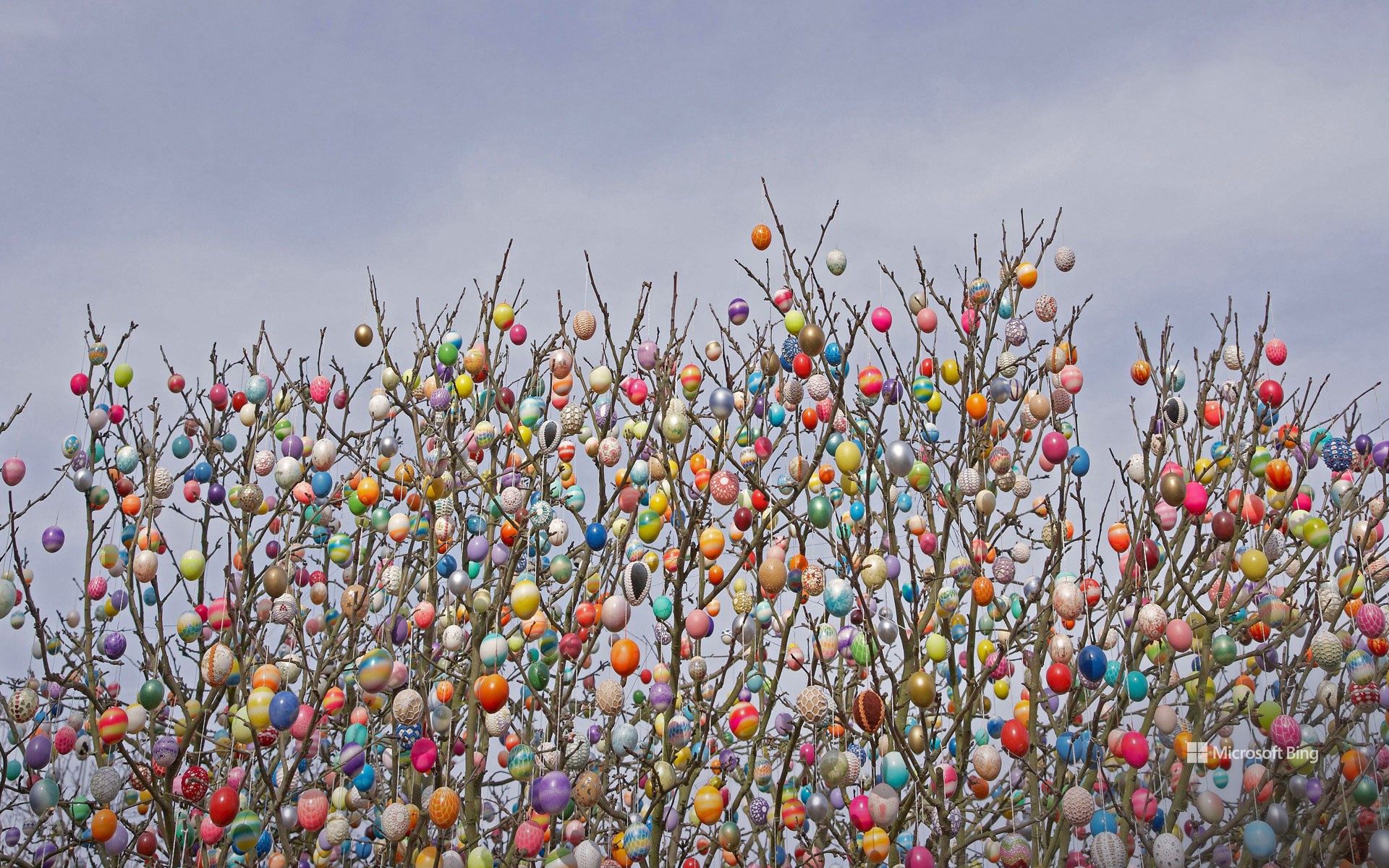 Ostereierbaum (Easter egg tree) in Saalfeld, Germany