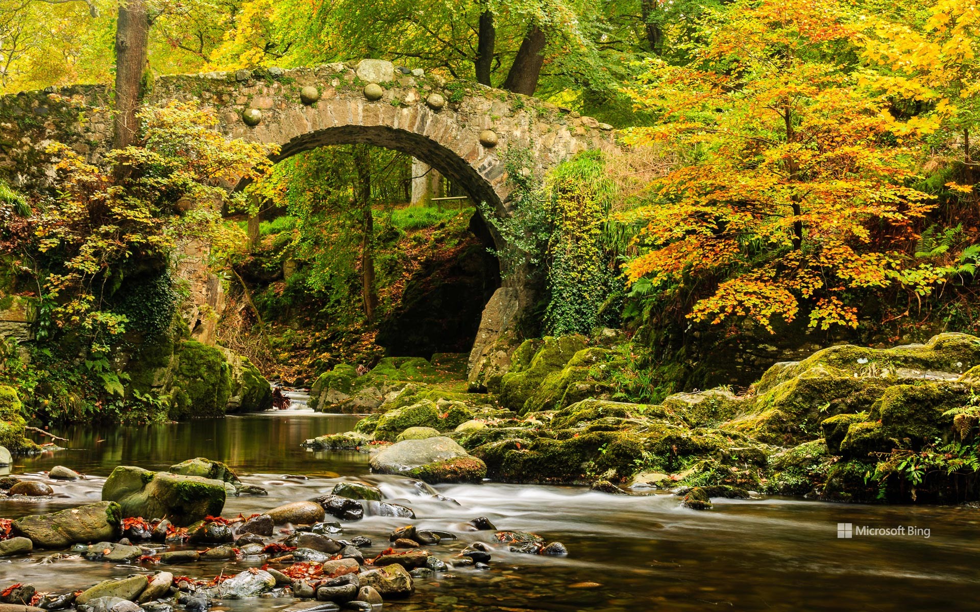 Foley's Bridge over the Shimna River in Tollymore Forest Park in County Down.