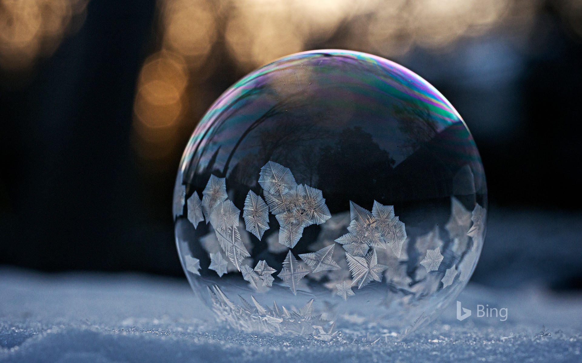 Macro shot of frozen soap bubble, Montreal, Canada