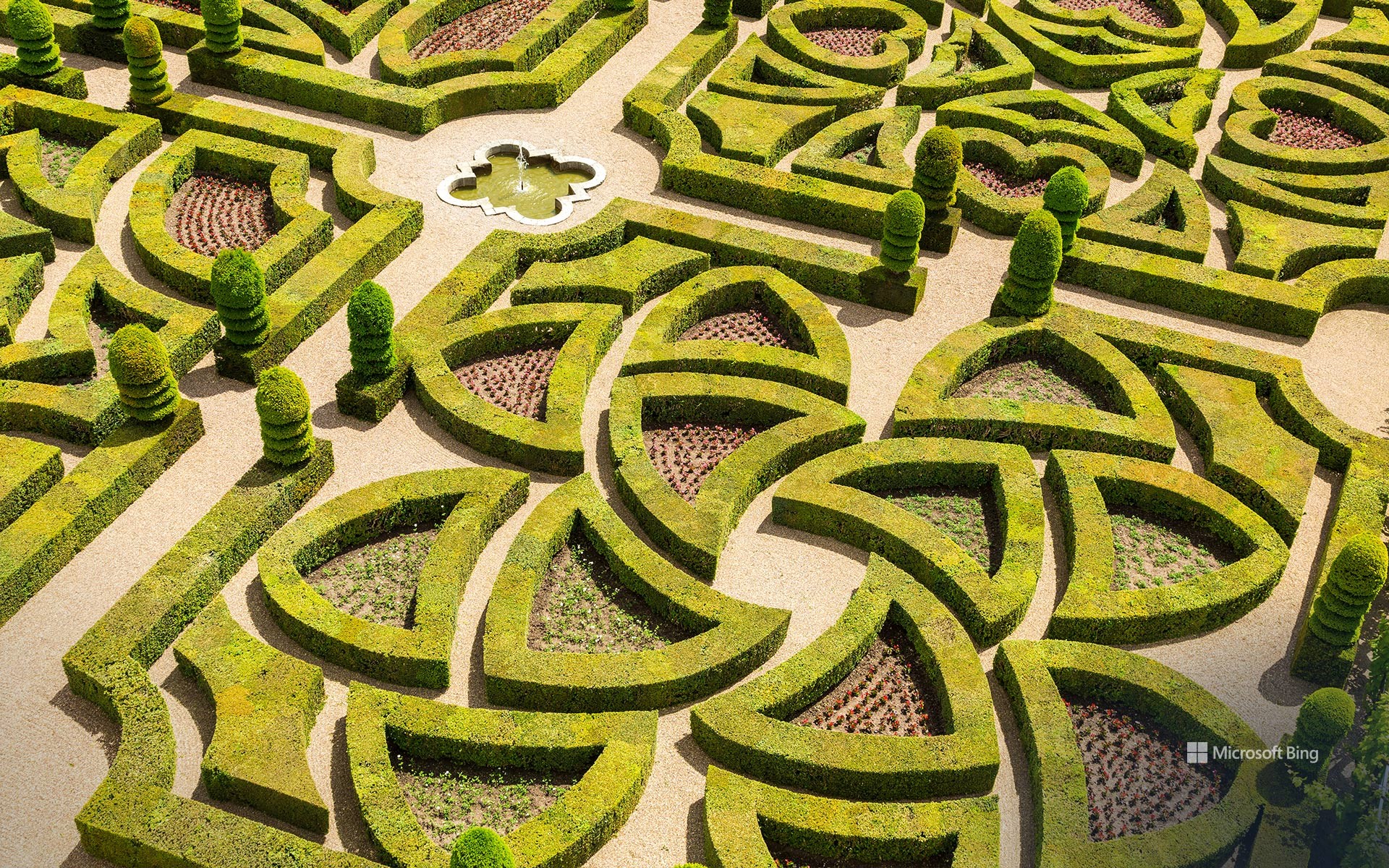 Formal Château de Villandry, Loire Valley, France