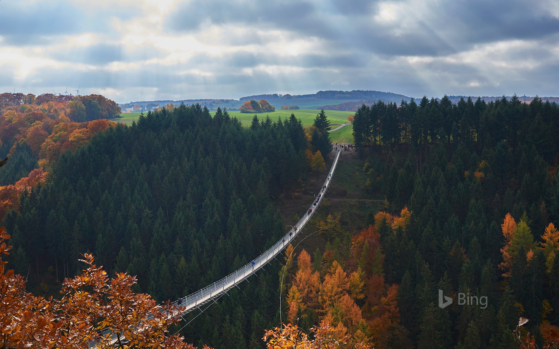 Geierlay suspension bridge, Saar-Hunsrueck-Steig, Hunsrueck, Rhineland-Palatinate, Germany