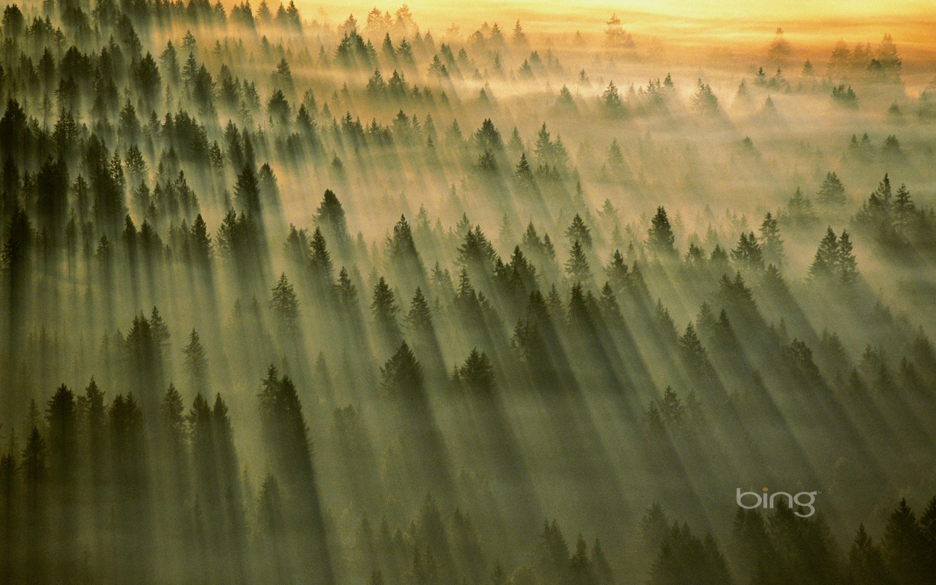 Gifford Pinchot National Forest, Washington