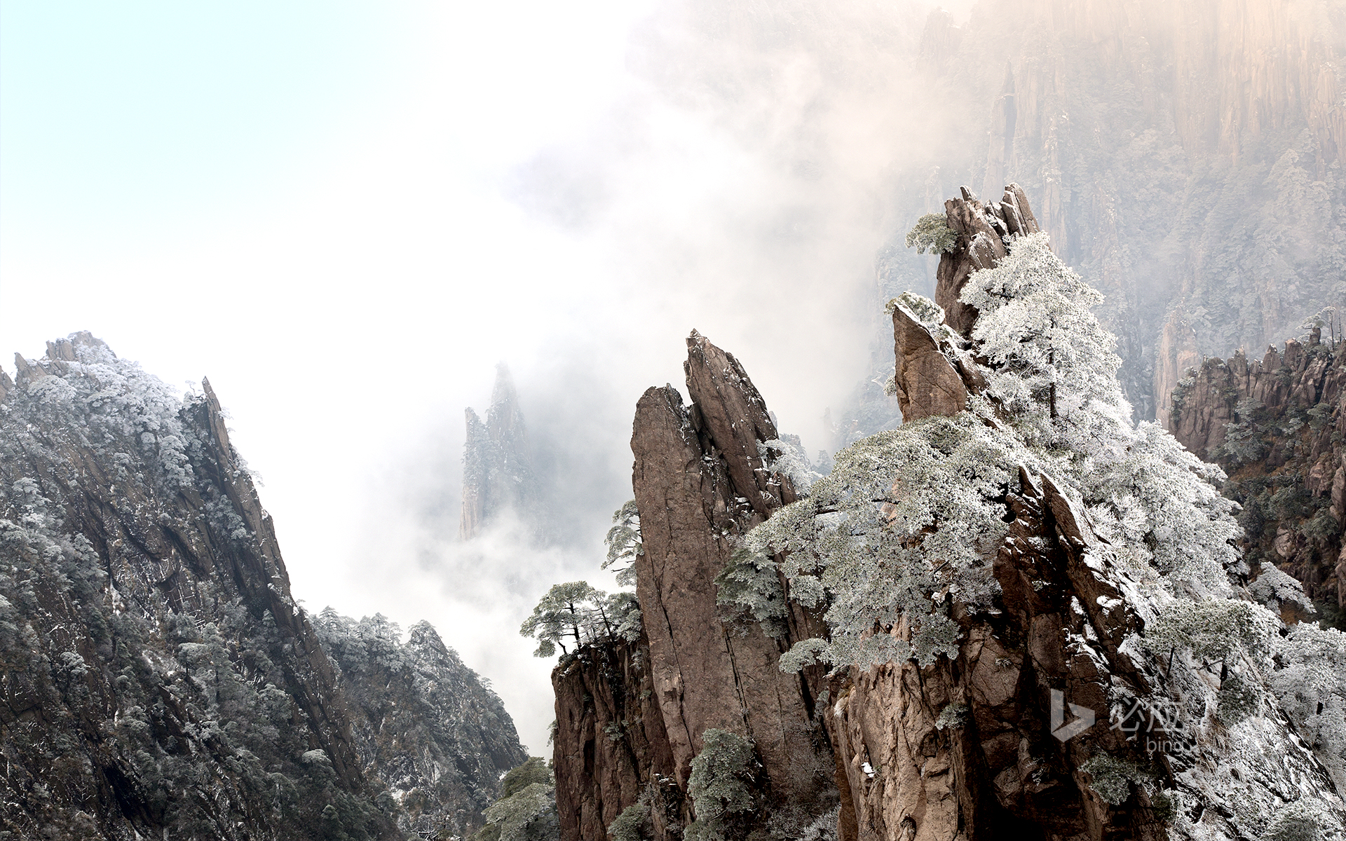 [今日 小寒] China, Anhui, Huangshan in the morning mist