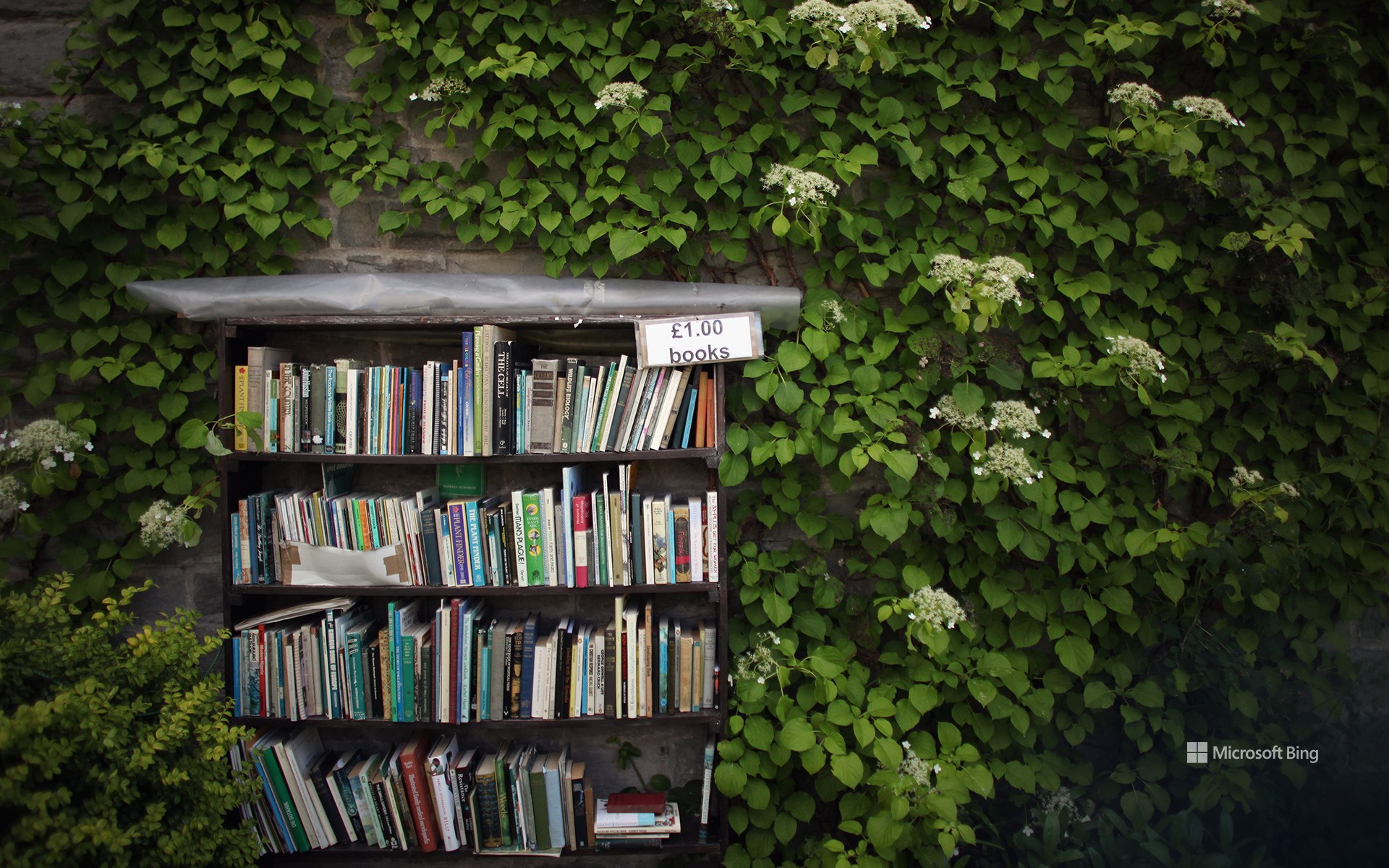 Second-hand books at the Hay Festival, Hay-on-Wye, Wales