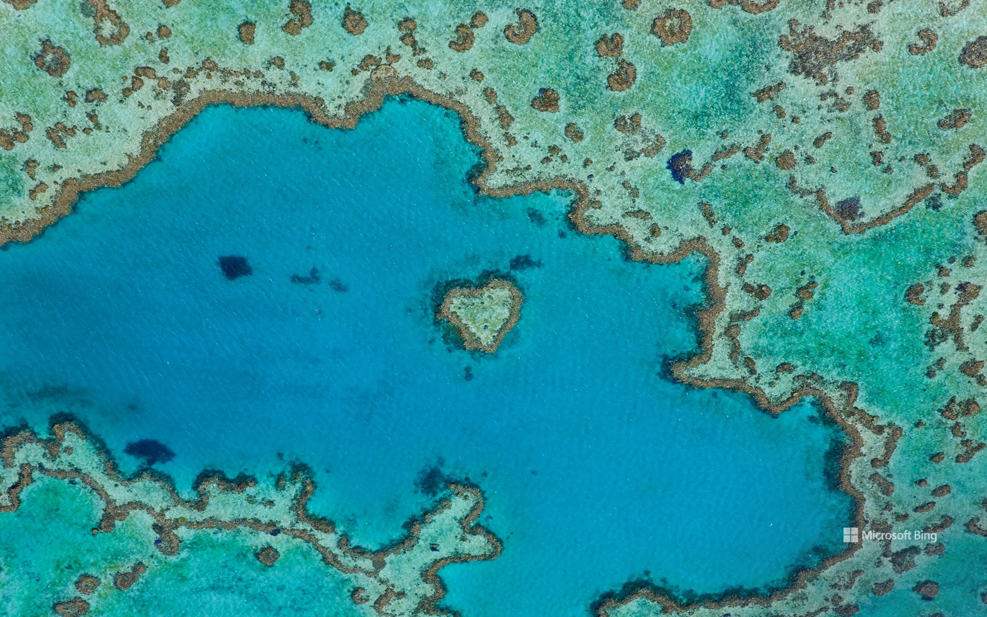 Heart Reef, part of the Great Barrier Reef off Queensland, Australia