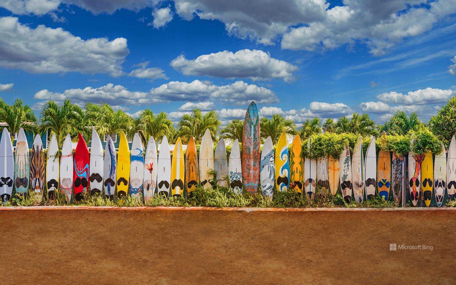 A surfboard fence near Paia, Maui, Hawaii