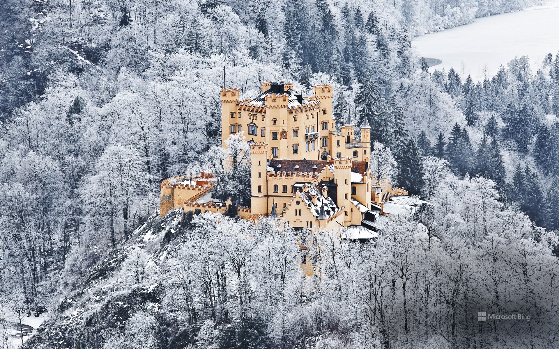 Hohenschwangau Castle, Schwangau near Füssen, Bavaria