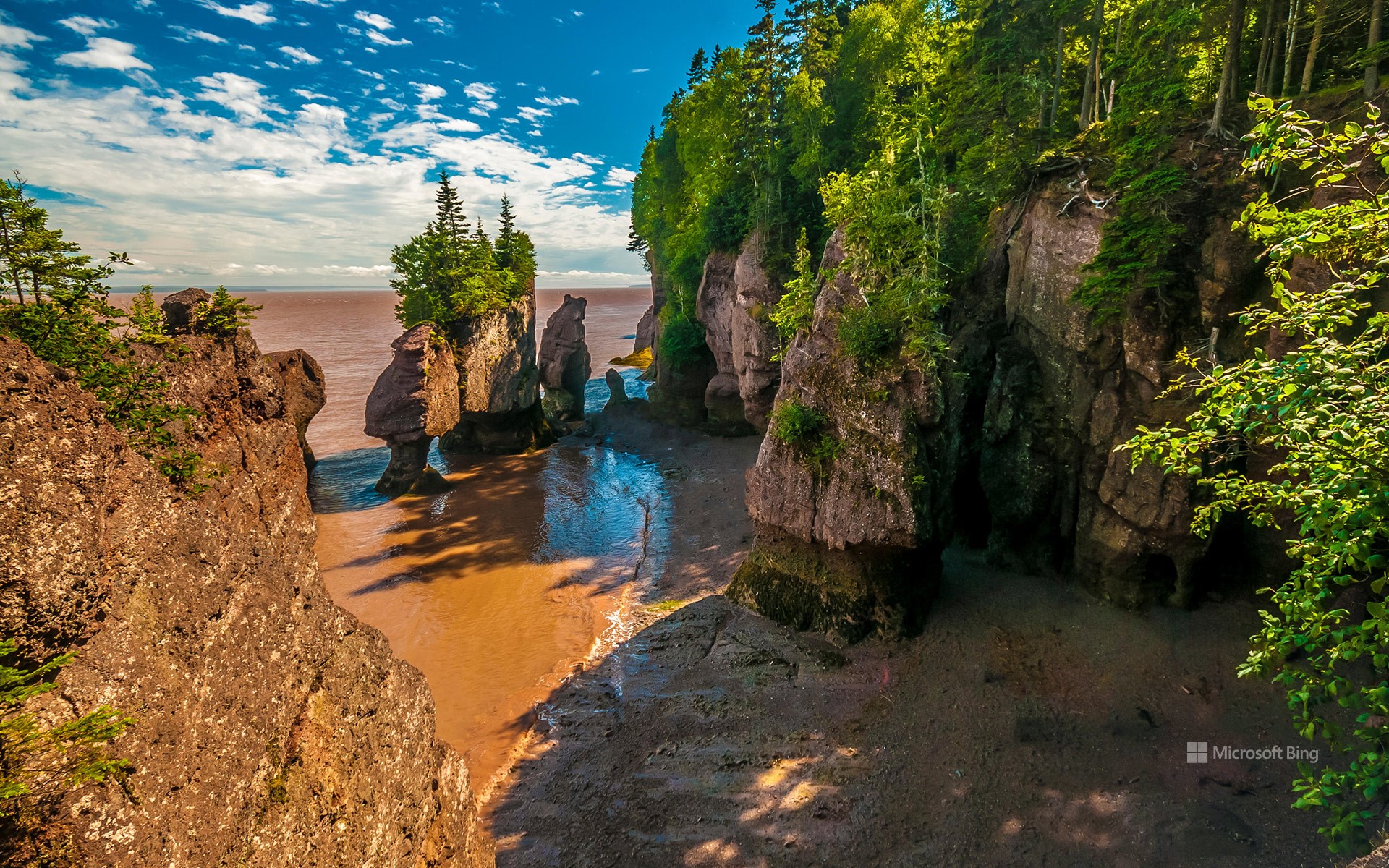 Geological site of Hopewell Rocks in New Brunswick