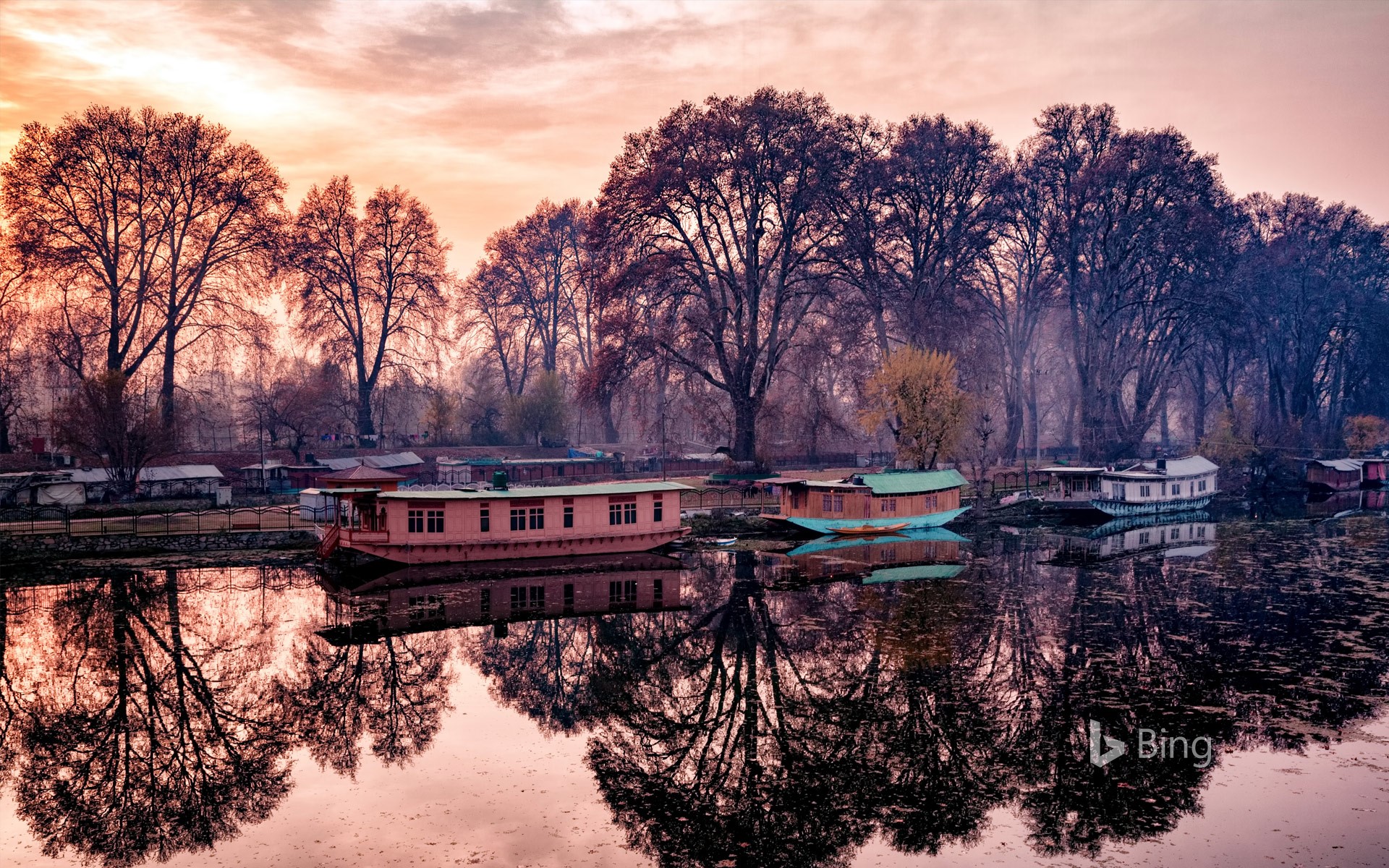 Houseboats on bank of the Jhelum River, India