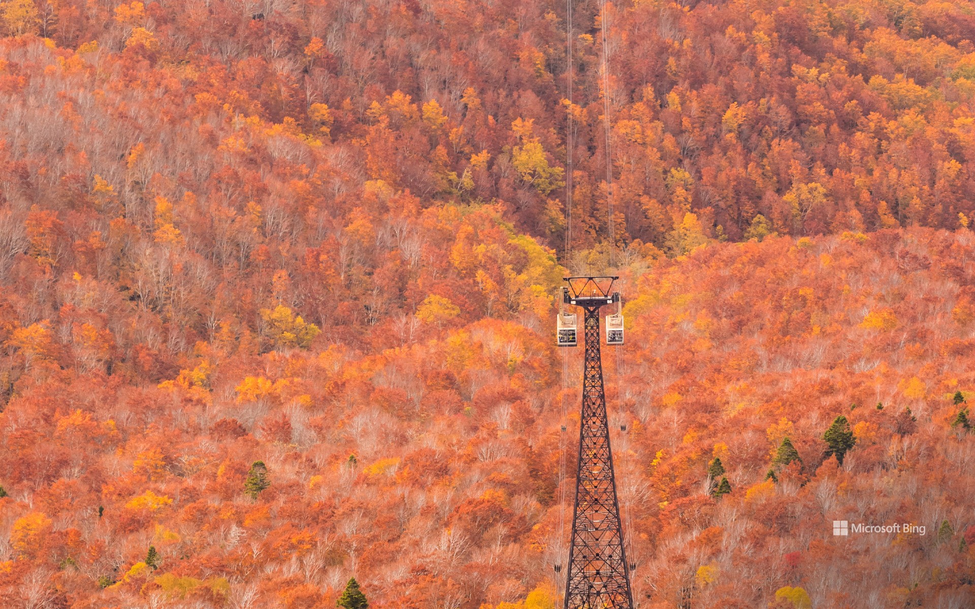 Hakkoda Ropeway in Autumn, Aomori City, Aomori Prefecture