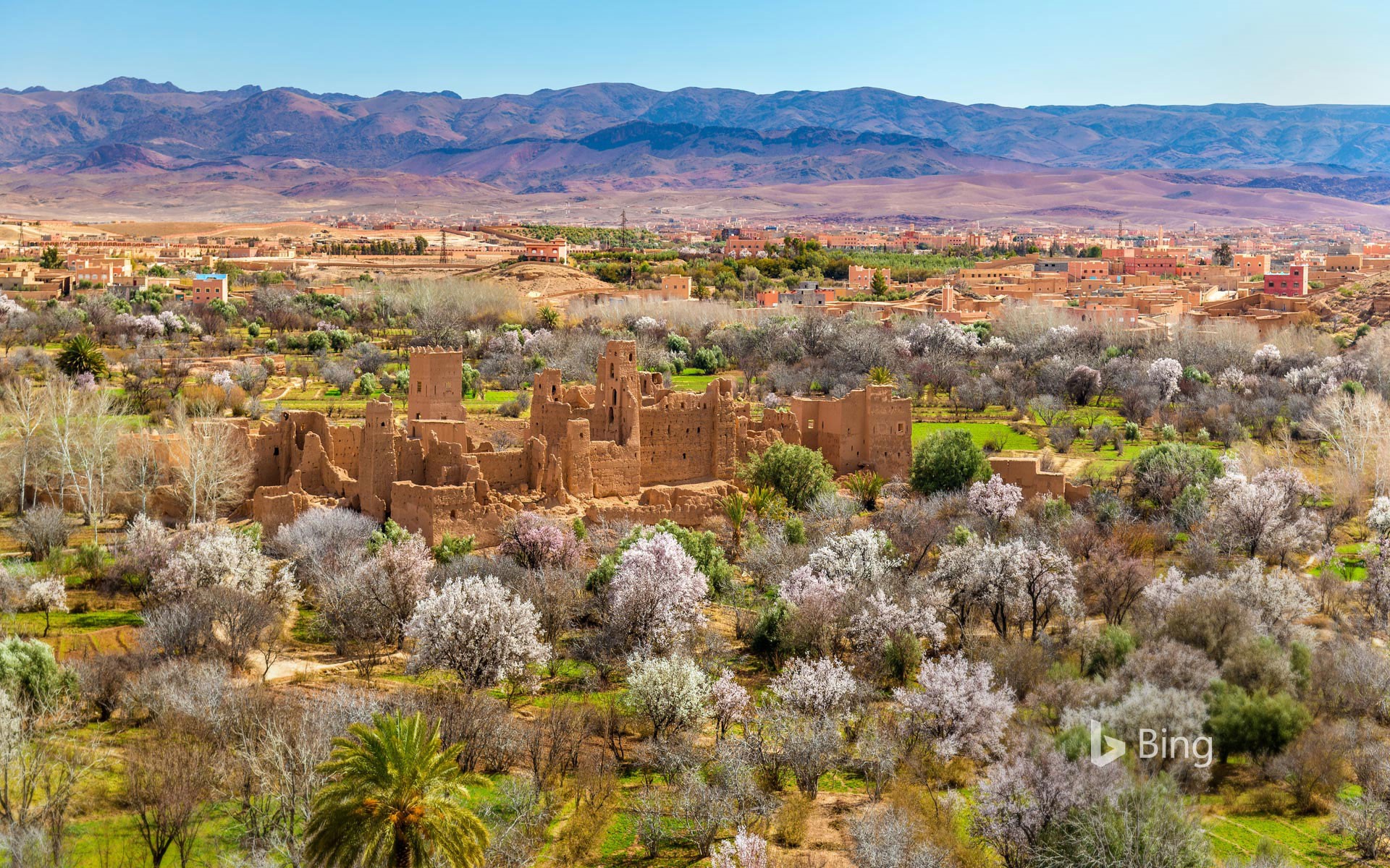 Ruins of a kasbah in Kalaat M'Gouna, Morocco