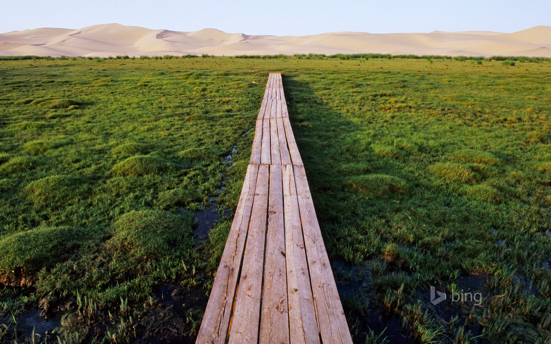 Bridge over marshland near the Khongoryn Els sand dunes in the Gobi Desert, Mongolia