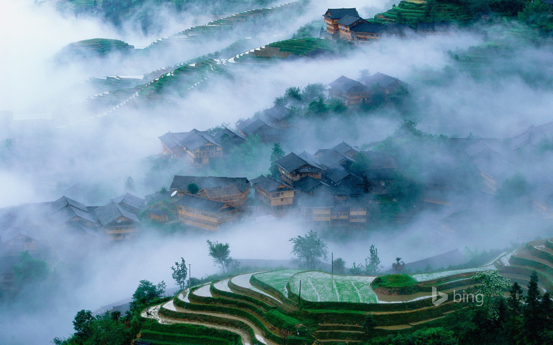 Longsheng rice terraces, Guangxi, China