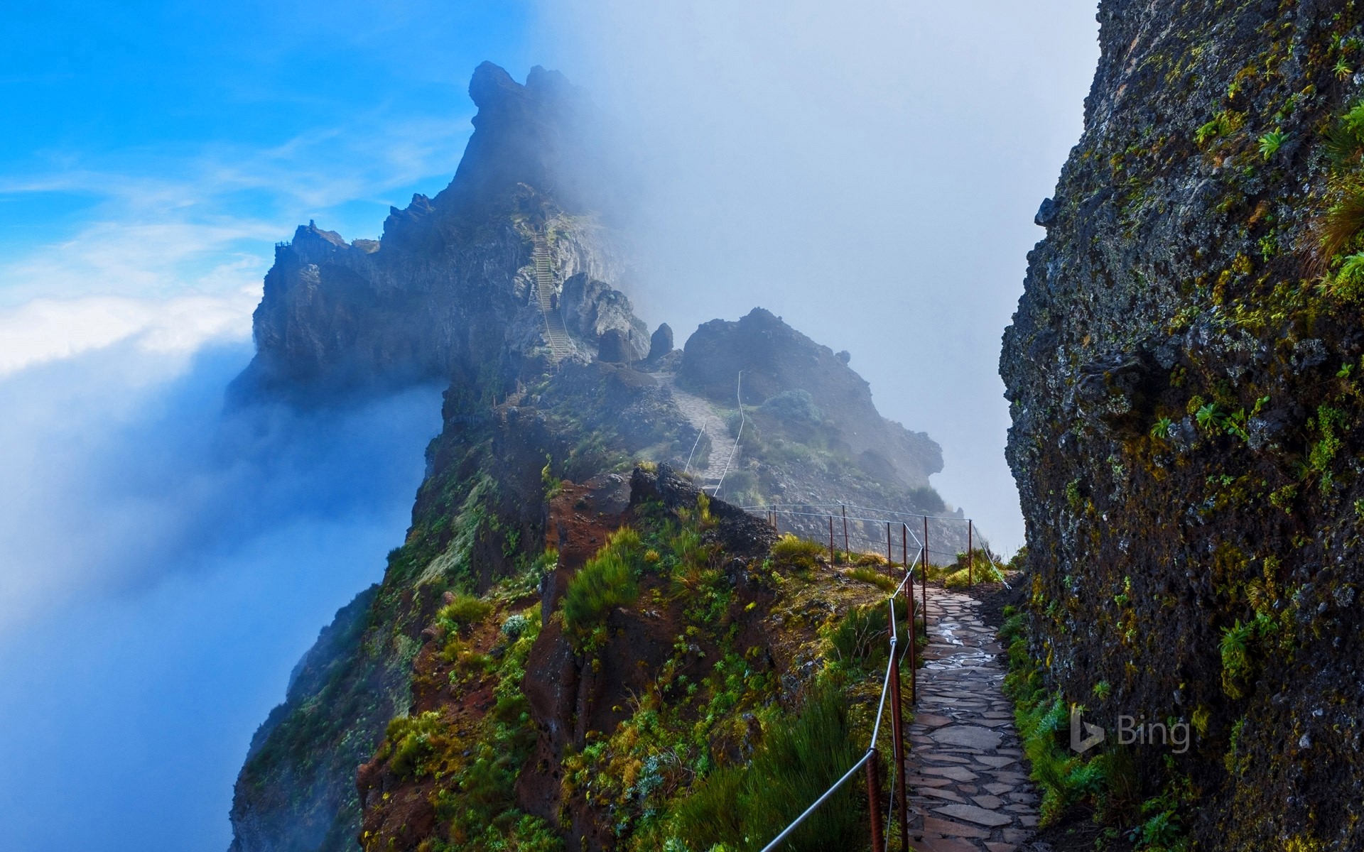 Mountain trail in Madeira, Portugal