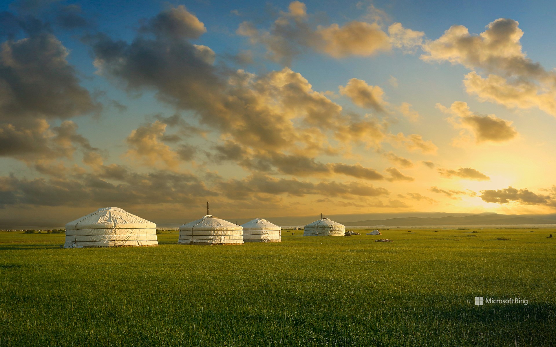 Yurts in the grassland of Mongolia