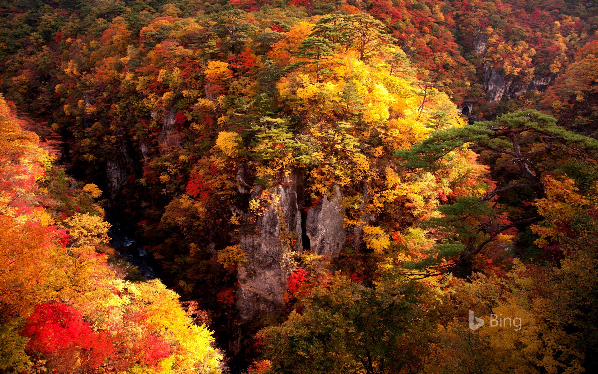 "Autumn leaves of Naruko Gorge" Miyagi, Osaki
