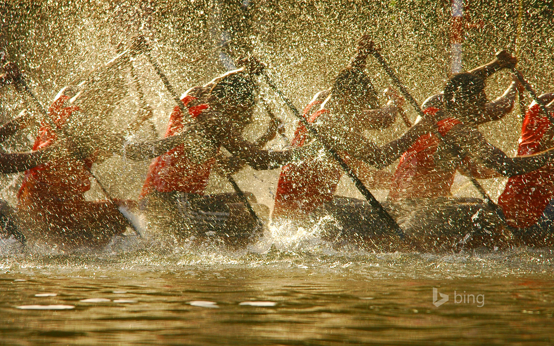 Competitors in the Nehru Trophy Boat Race in Alappuzha, India