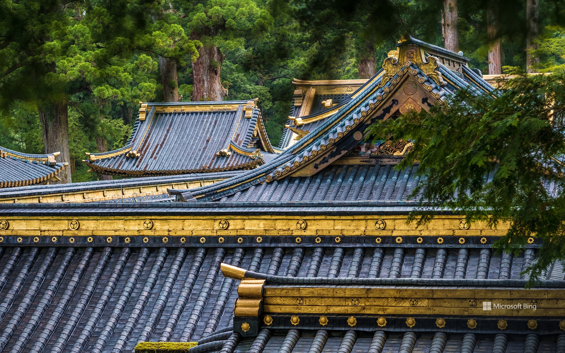 Nikko Toshogu Shrine, Nikko City, Tochigi Prefecture