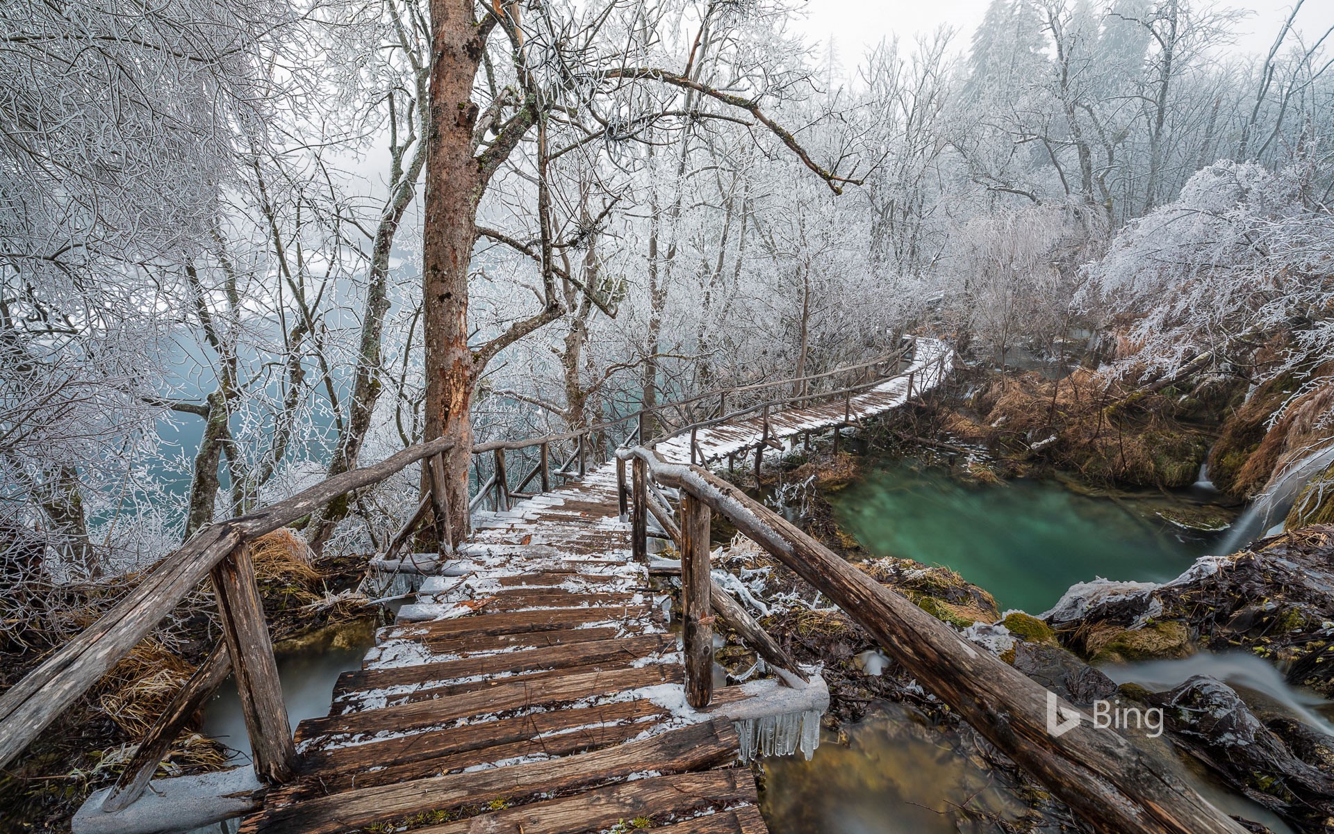 Elevated path in Plitvice Lakes National Park, Croatia