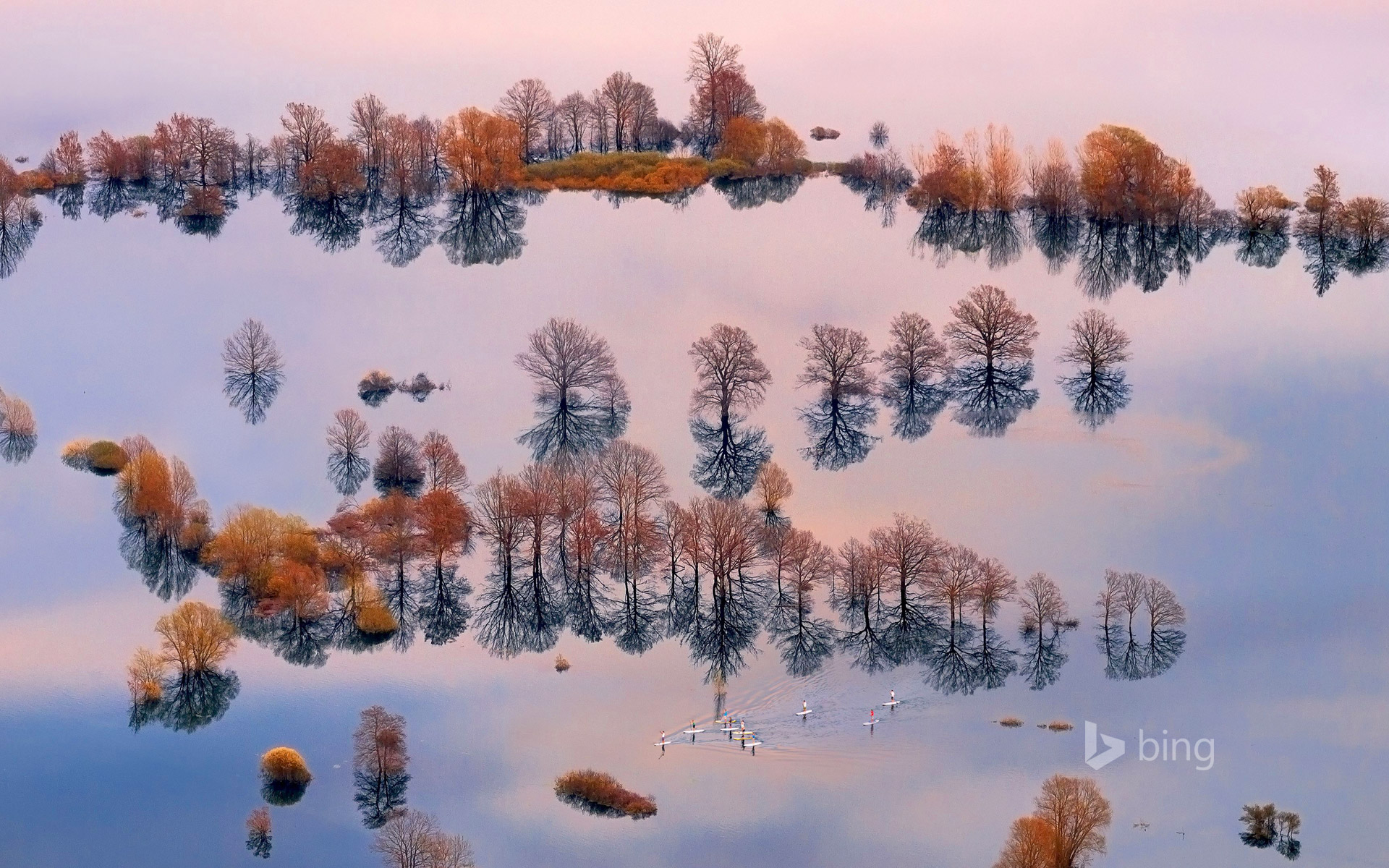 Flood in the Planina Plain, in the karst basin of the Ljubljanica River, Slovenia
