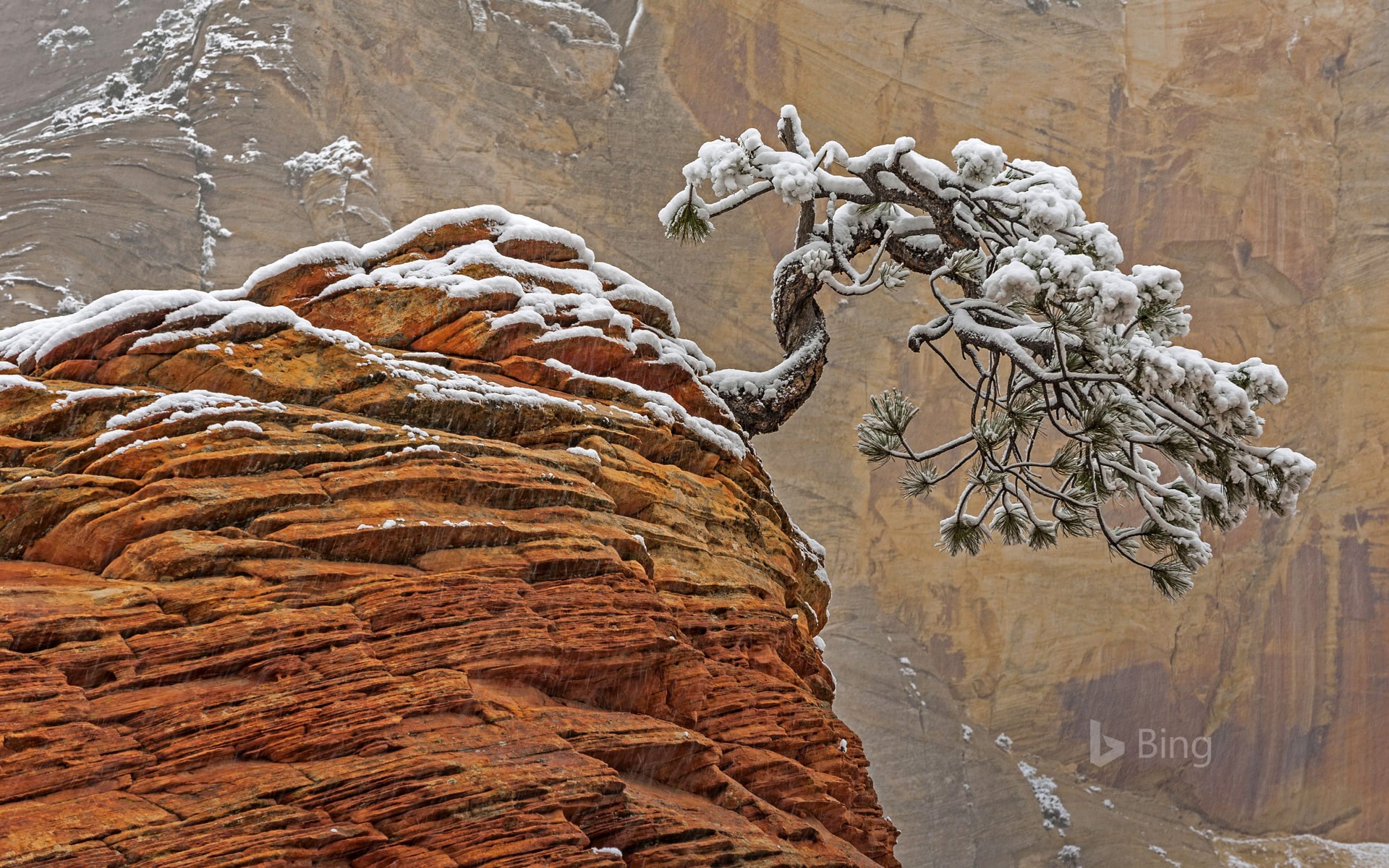Snow in Zion National Park, Utah, USA
