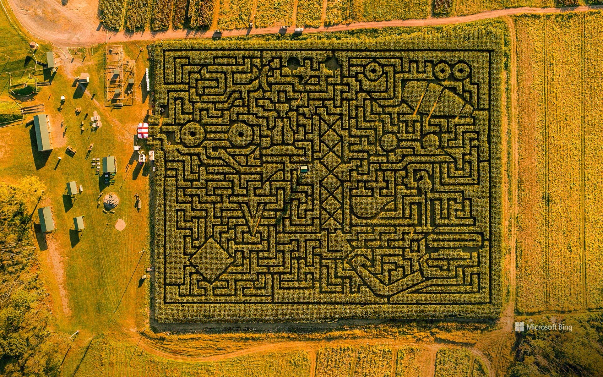 Corn maze in Saylorsburg, Pennsylvania, USA