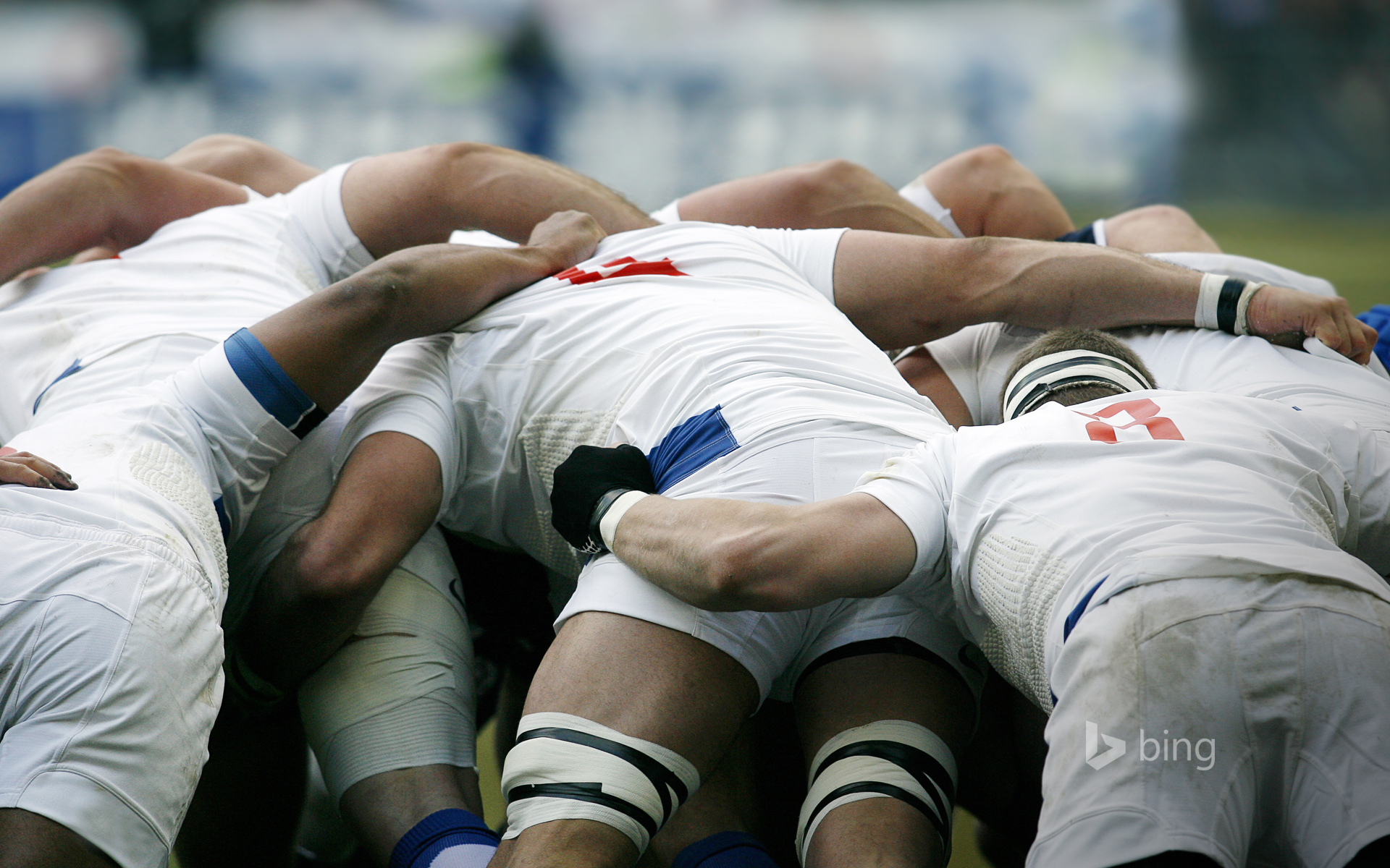 Rugby union players battle for the ball in a scrum