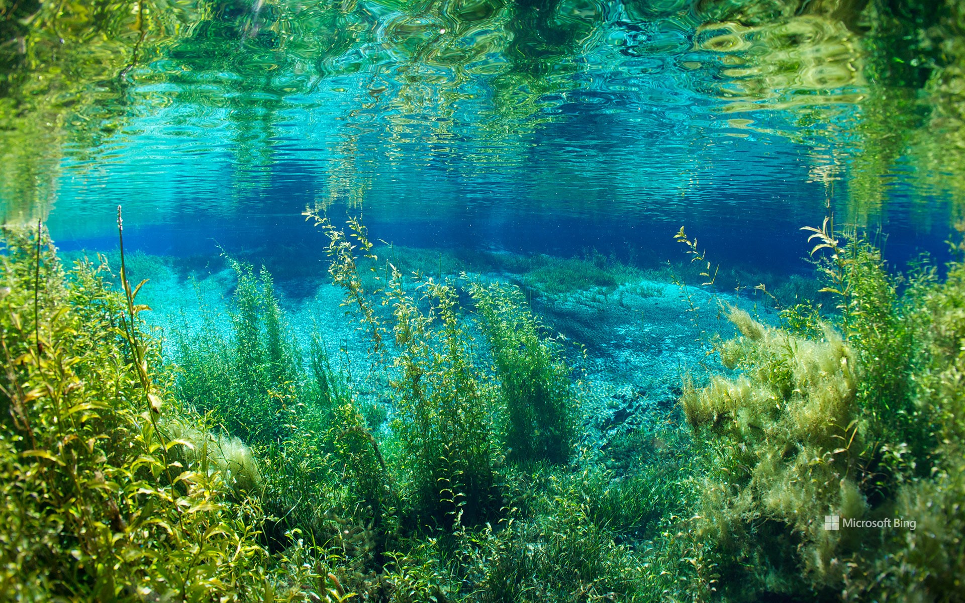 Rainbow River in Rainbow Springs State Park, Florida, United States